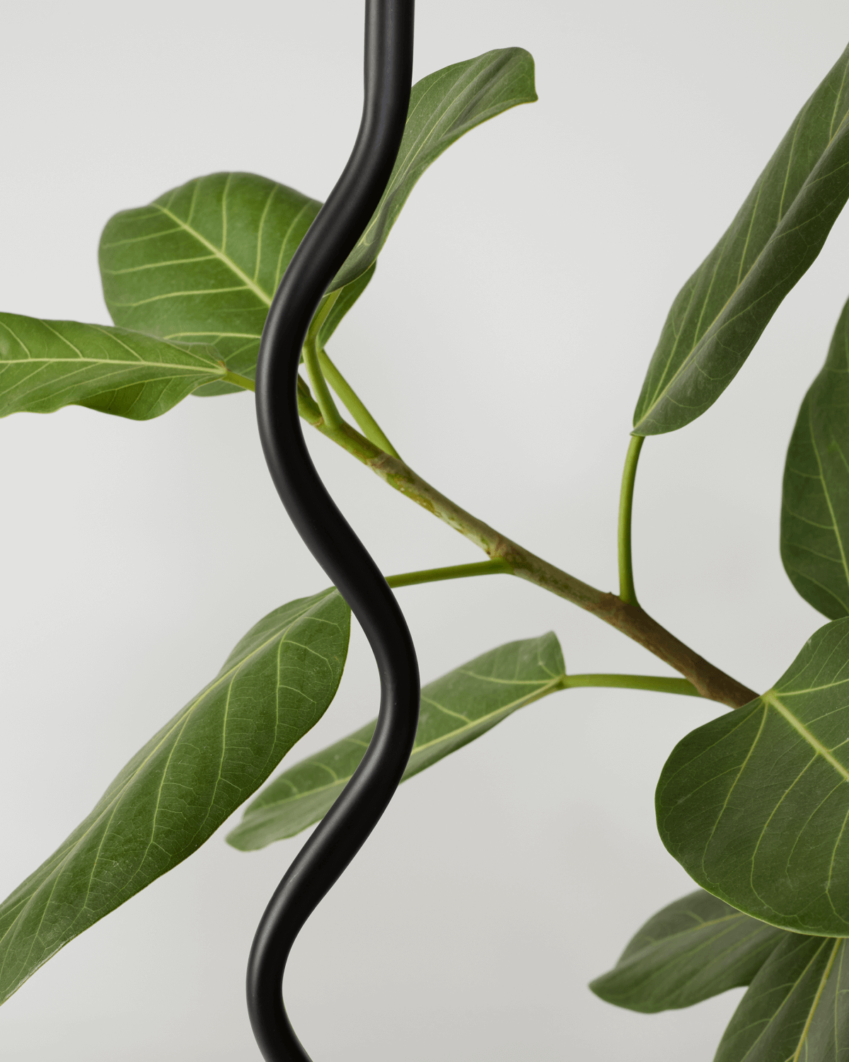 Squiggle/Lamp - ARCHDEKOR® LLC