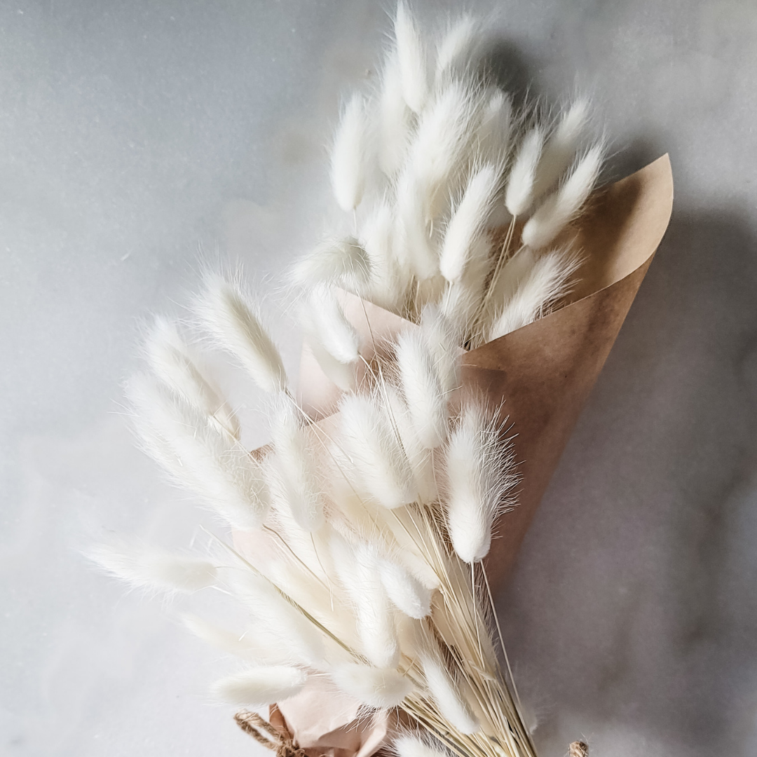 Bunnytails /White