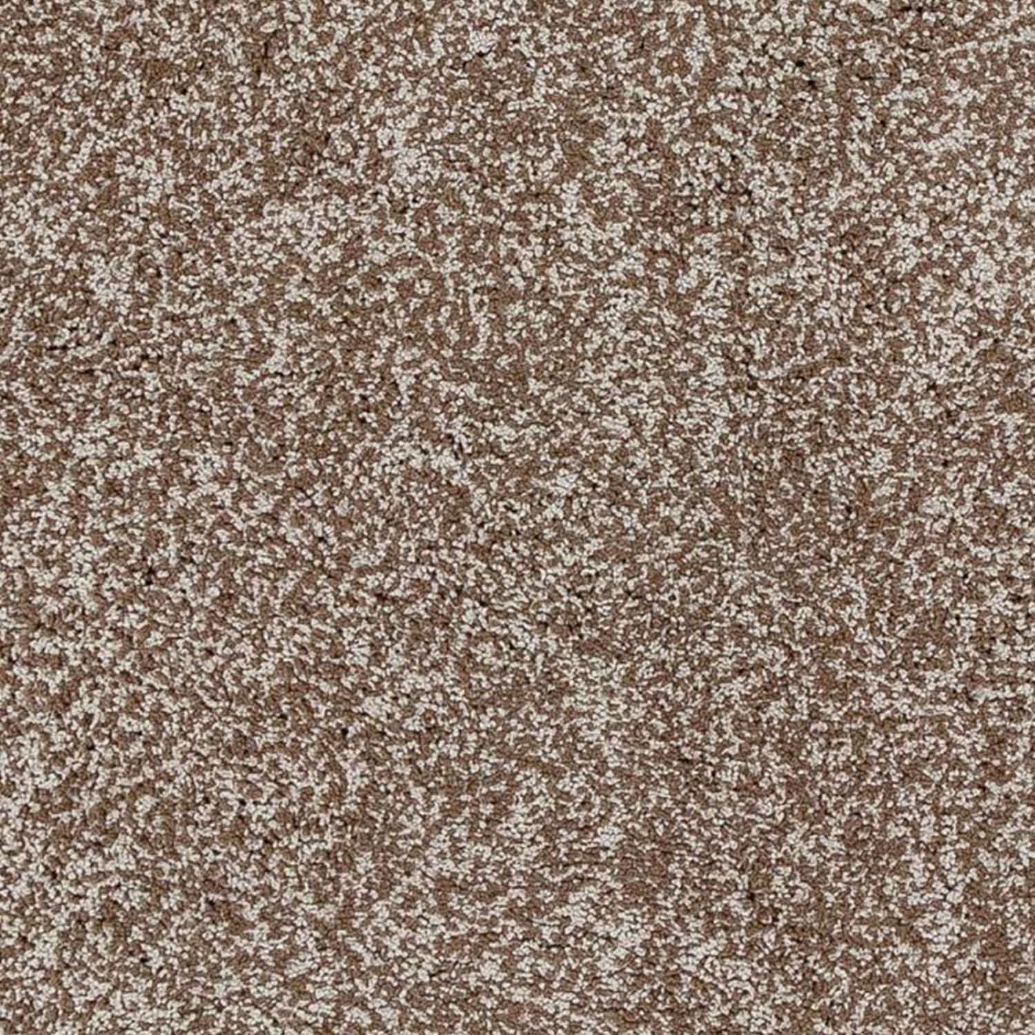 Rug/rein