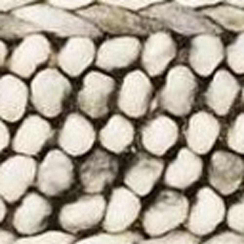 Rug/rawleigh