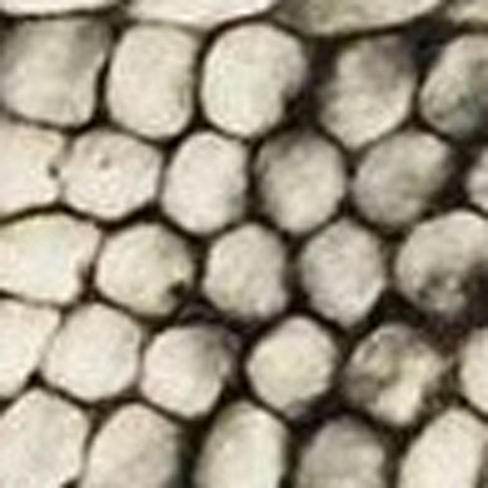 Rug/reade