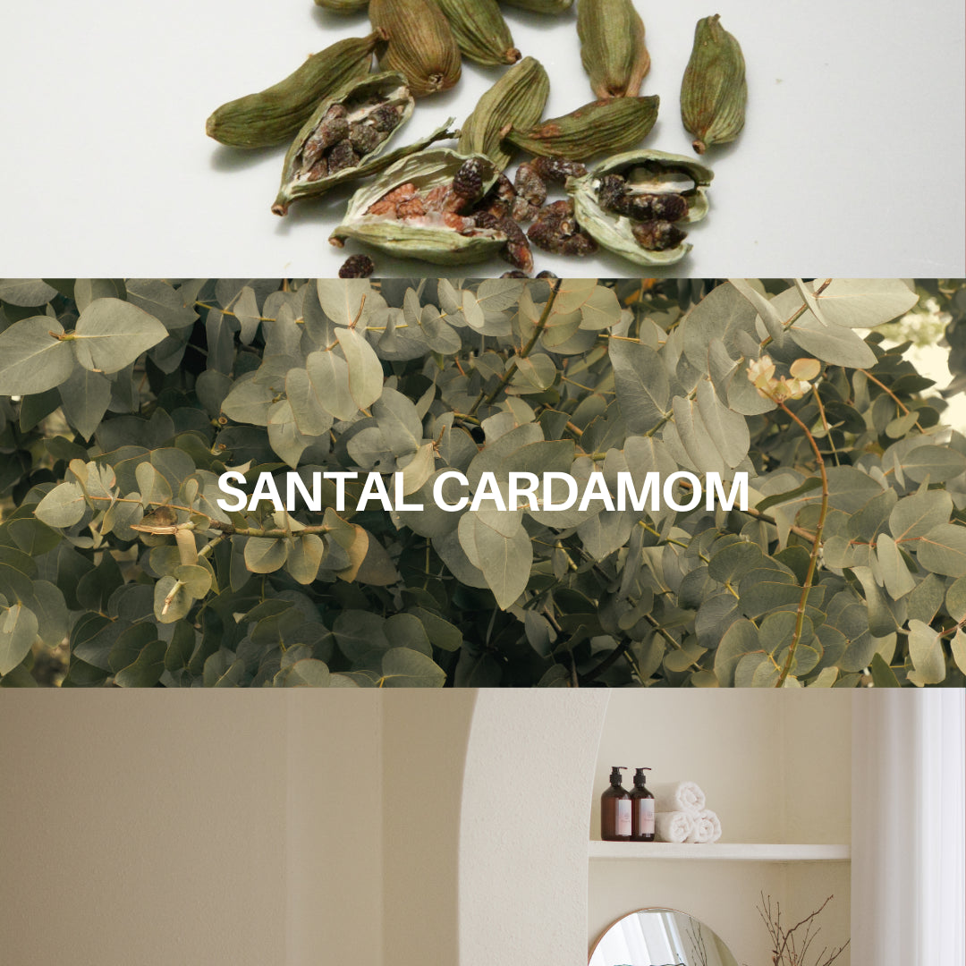 Santal/Candle
