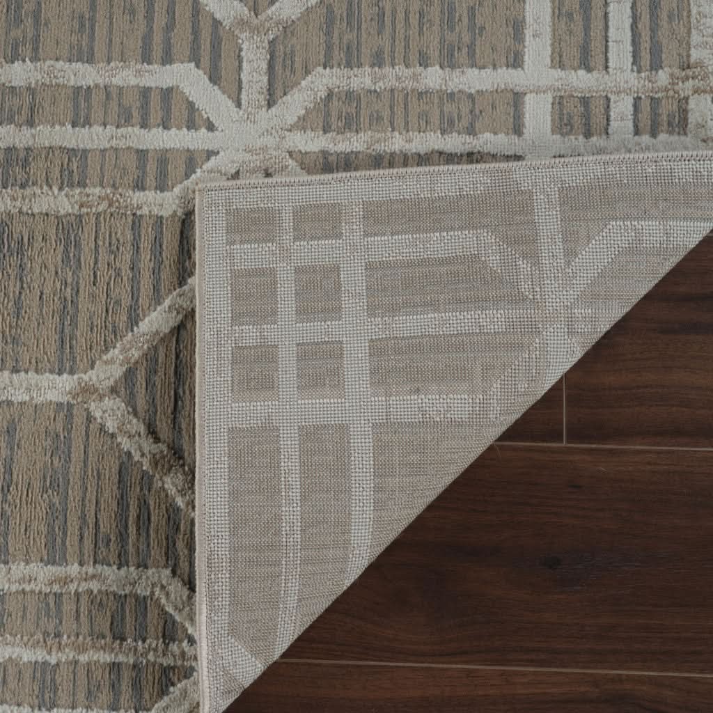 rug/ryder
