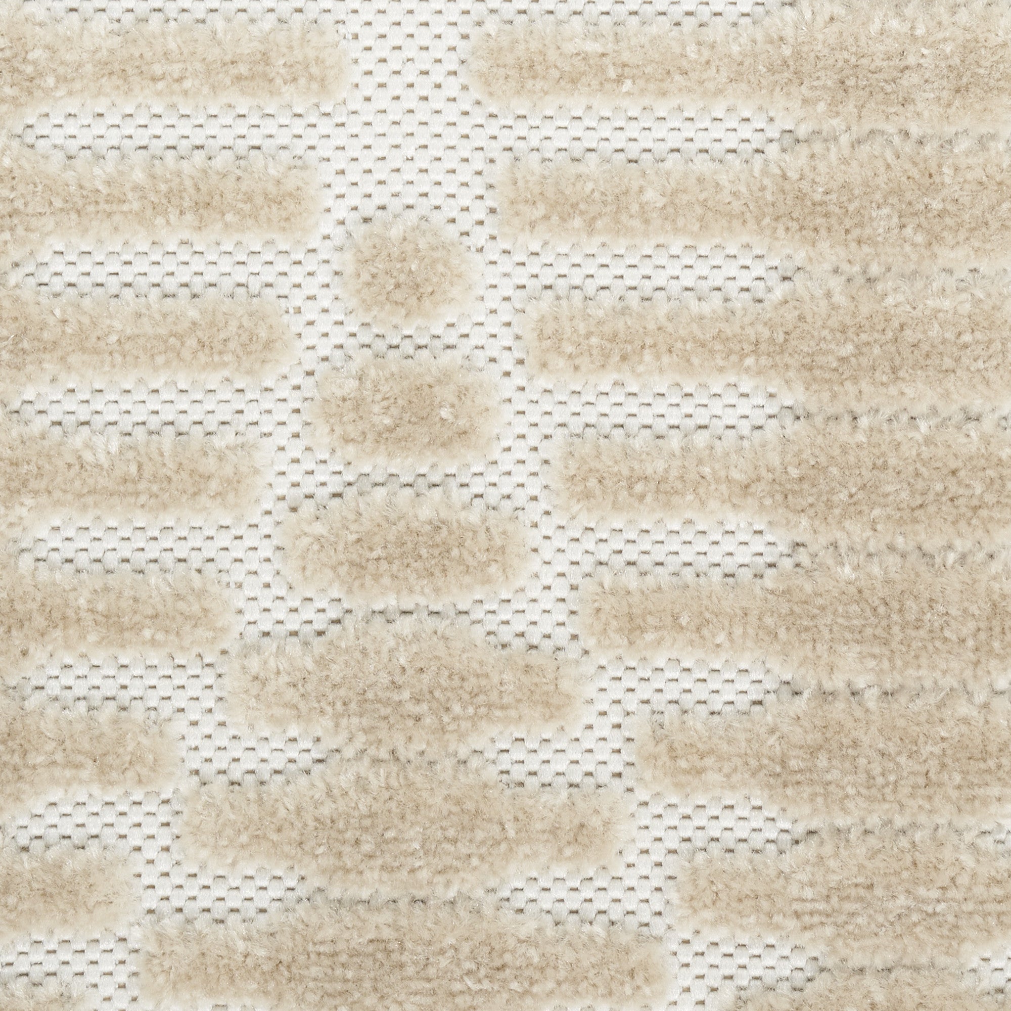 Rug/r