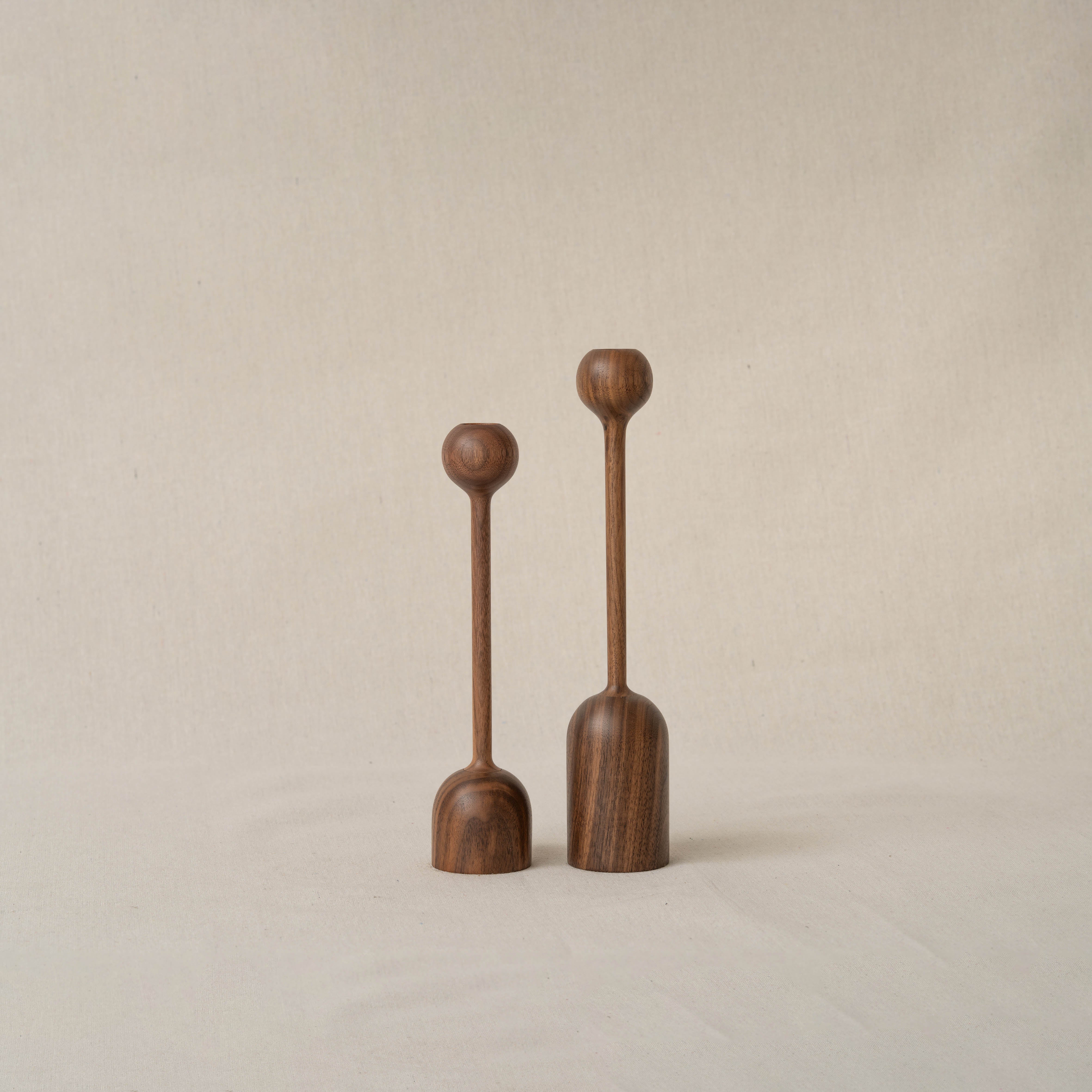 Tulip/Holder