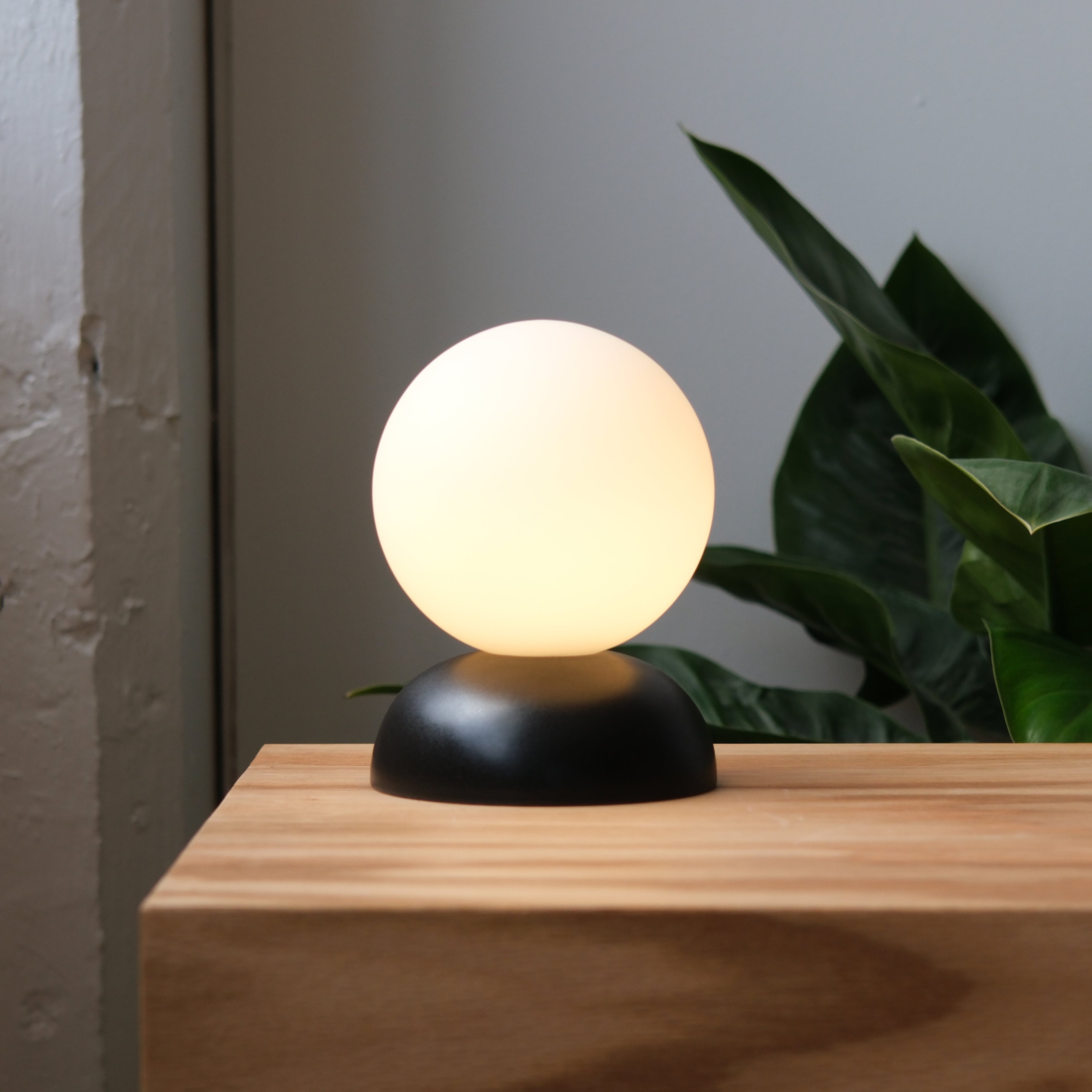 Monroe/Lamp