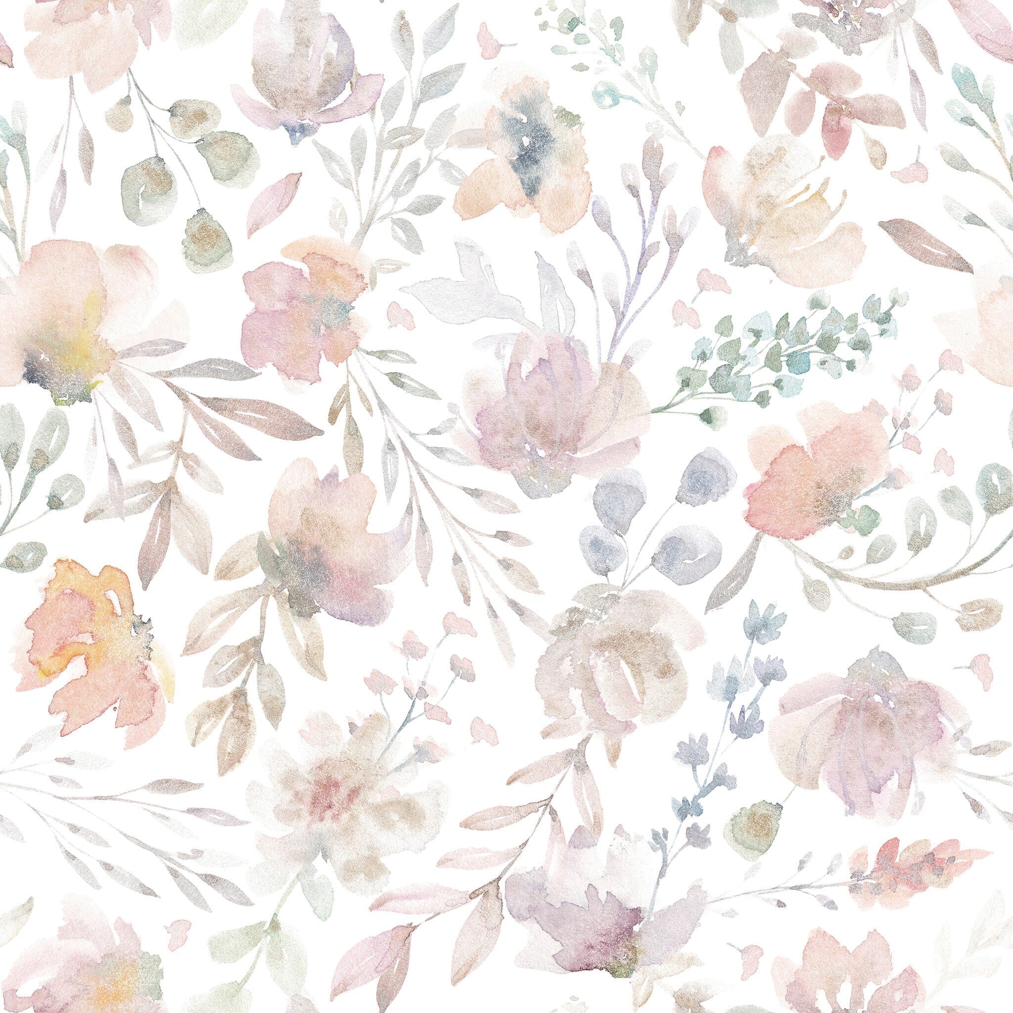 Wall/Flor