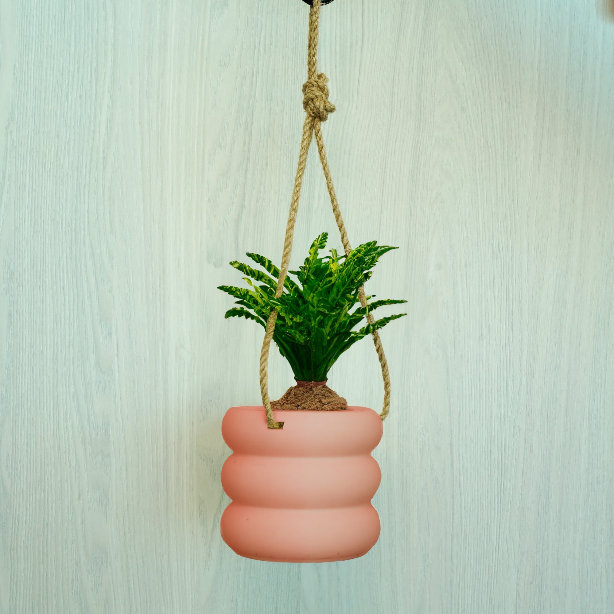 Bubble/Planter