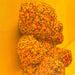 Sprinkle/Art - ARCHDEKOR® LLC