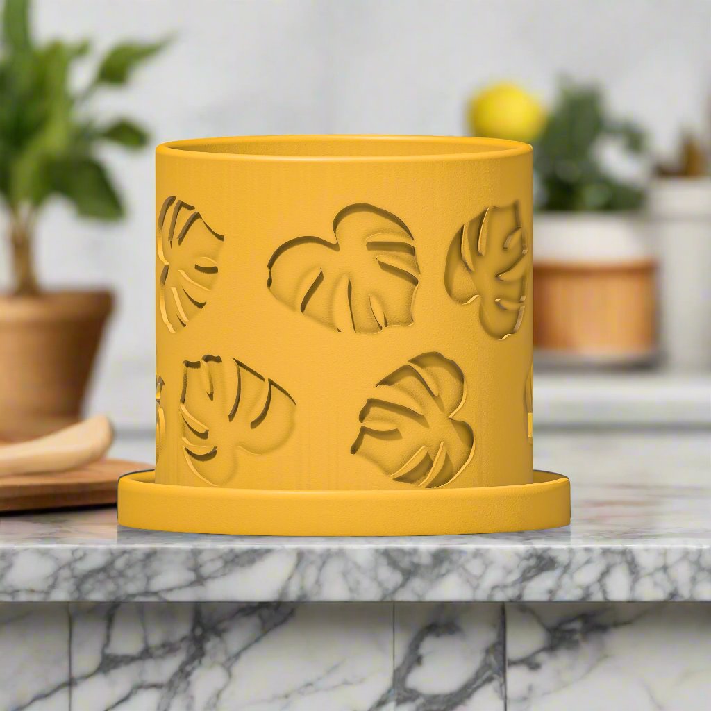 Monstera/Planter
