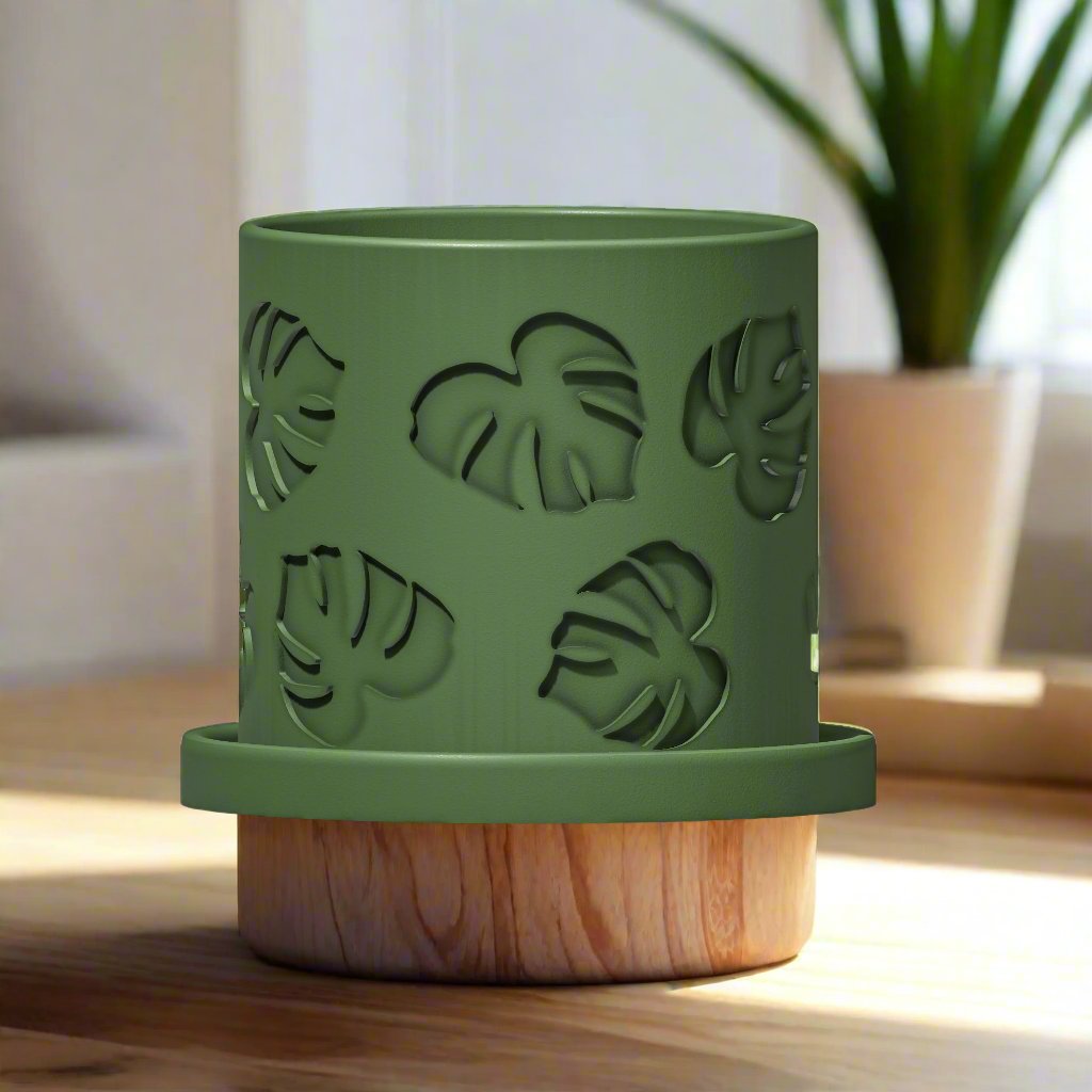 Monstera/Planter