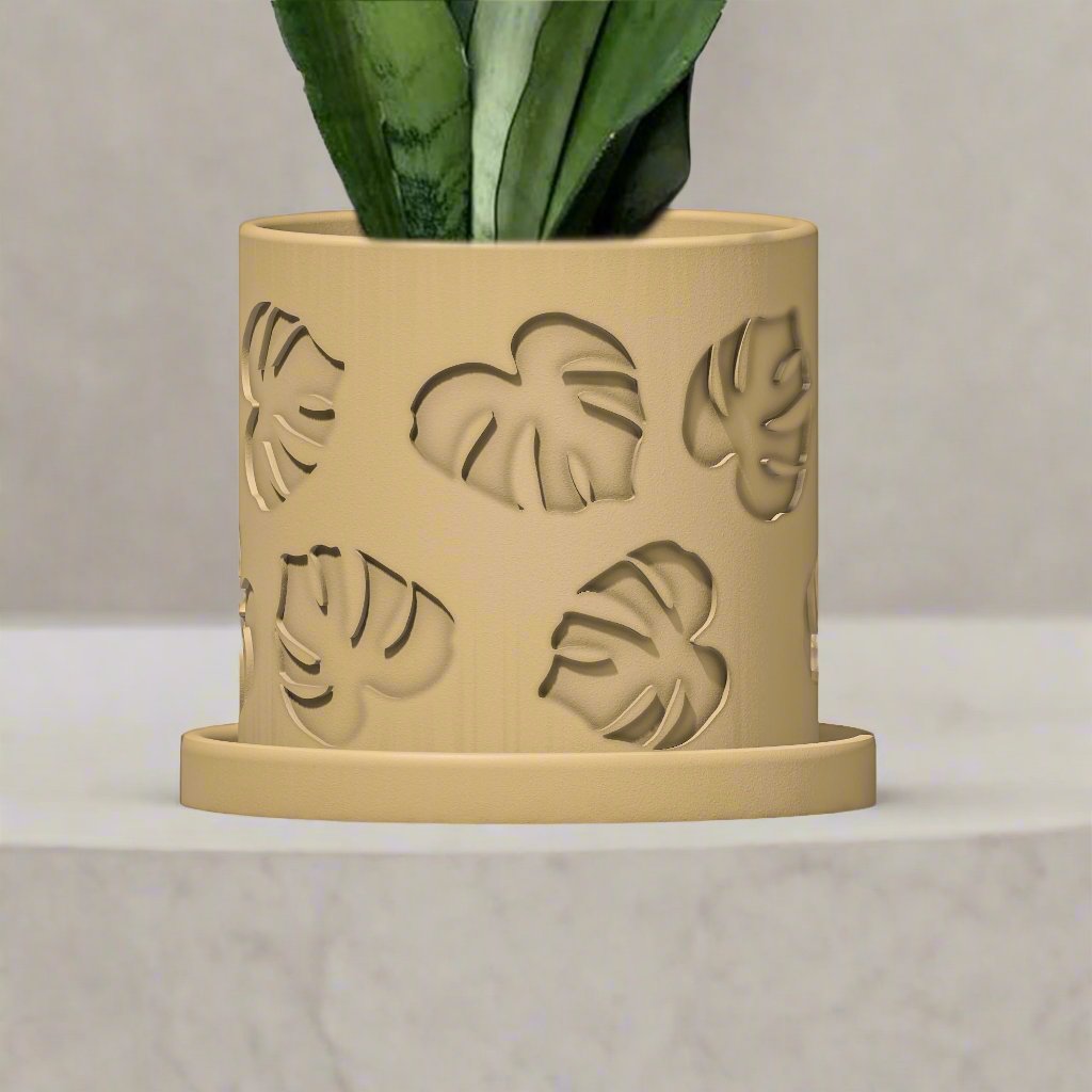 Monstera/Planter