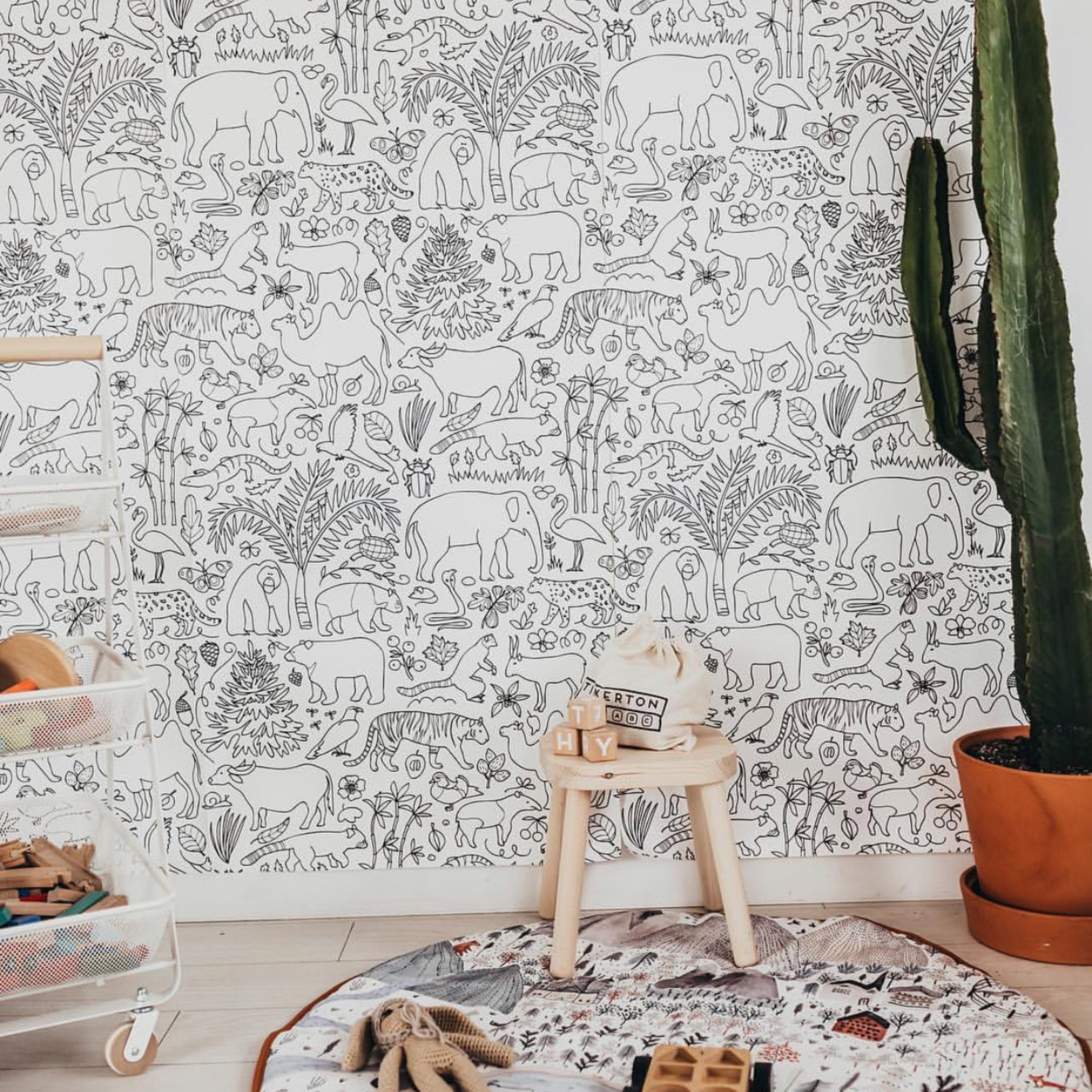 Wall/Mowgli