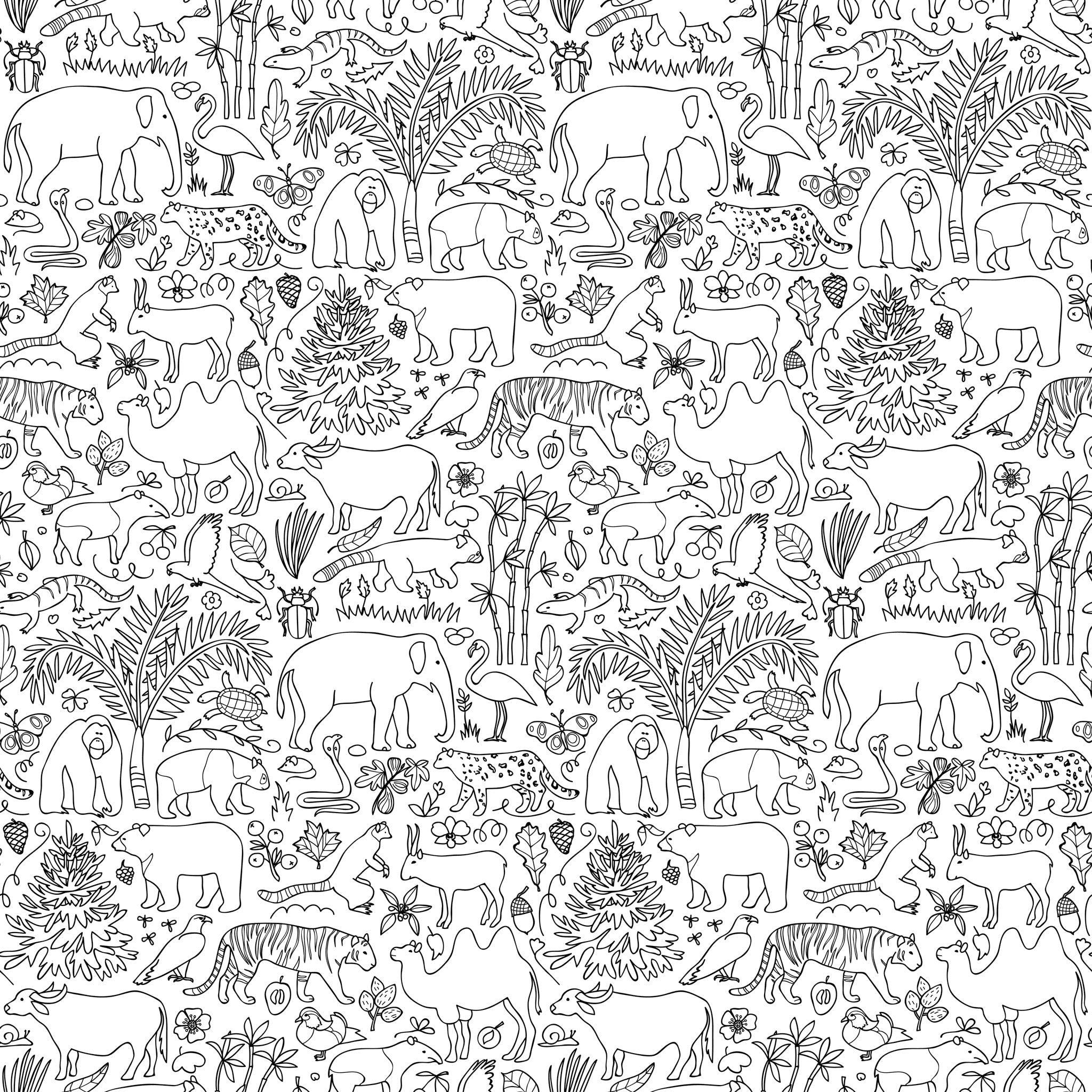 Wall/Mowgli