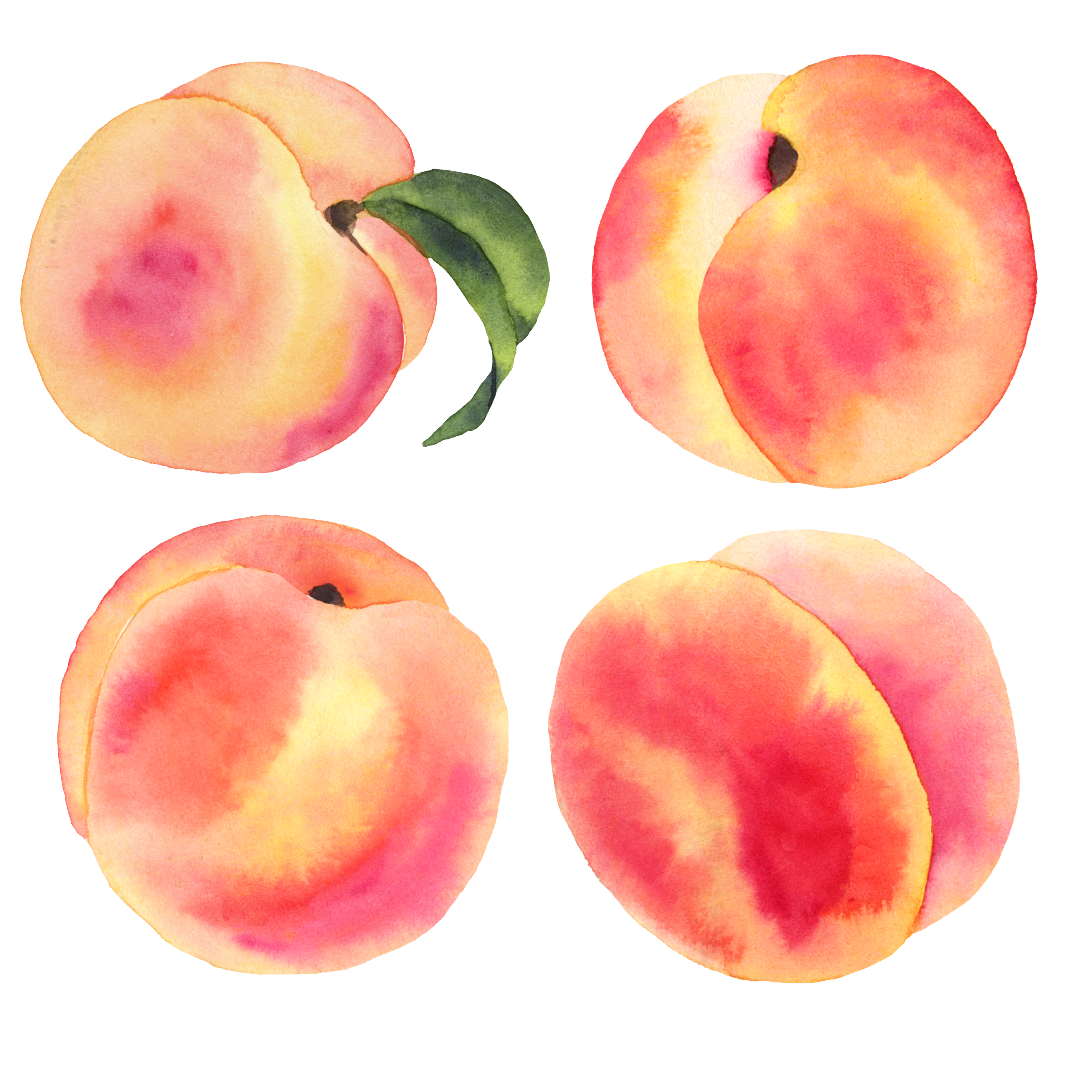 Peaches/Leaves