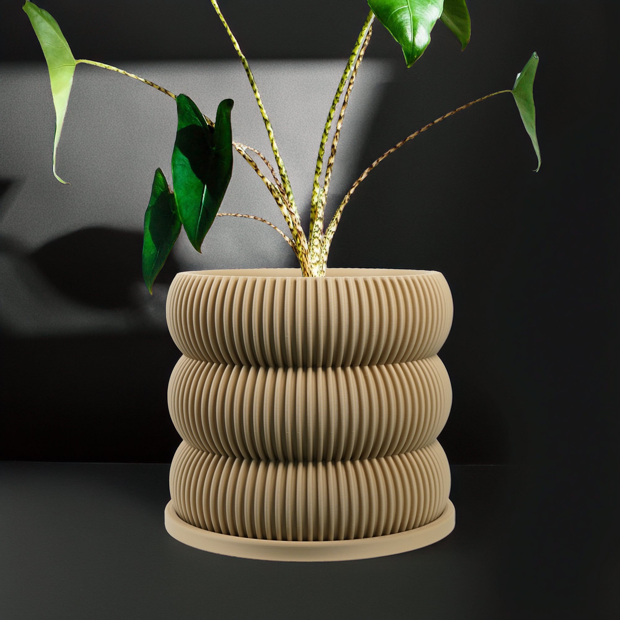 Ribbed/Planter