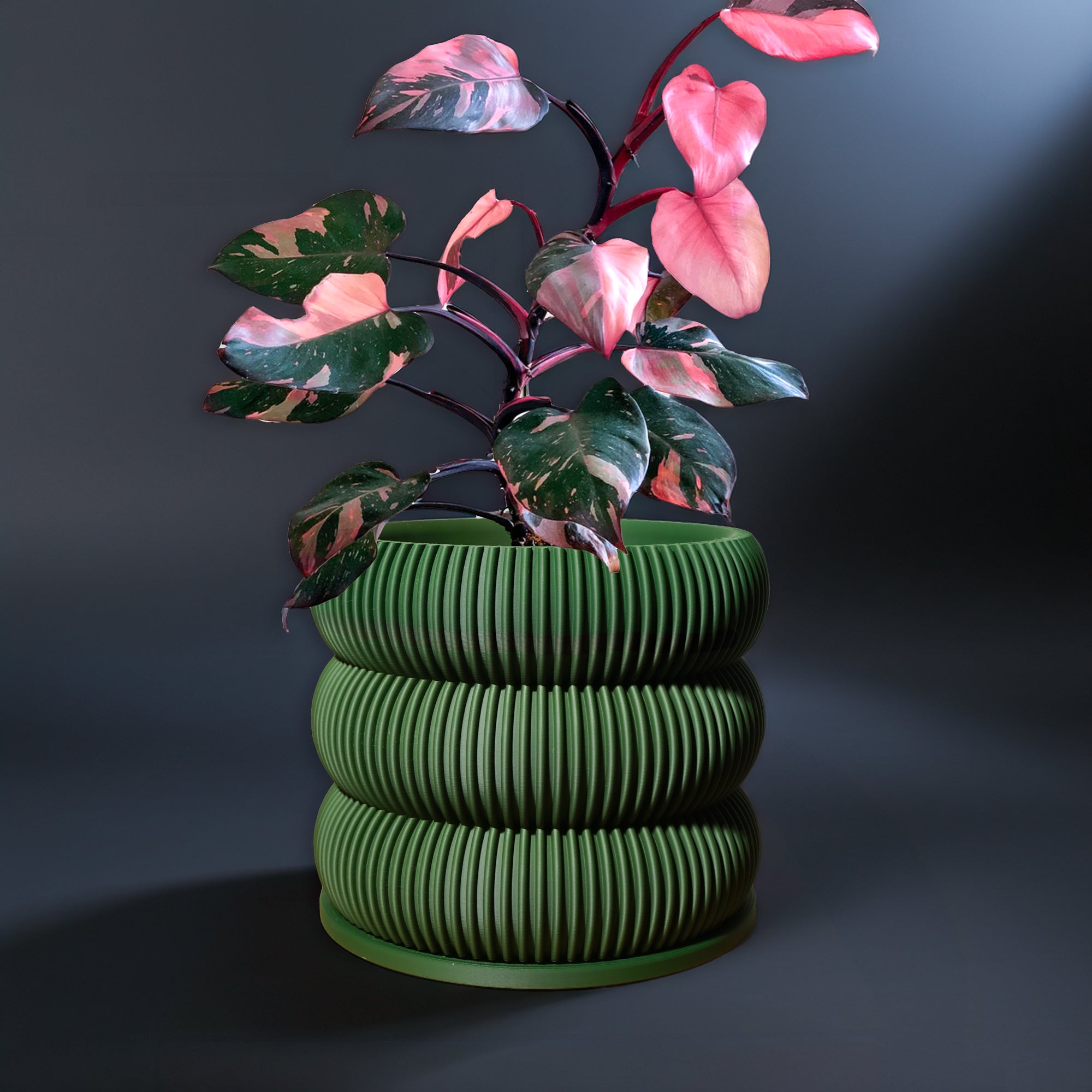Ribbed/Planter