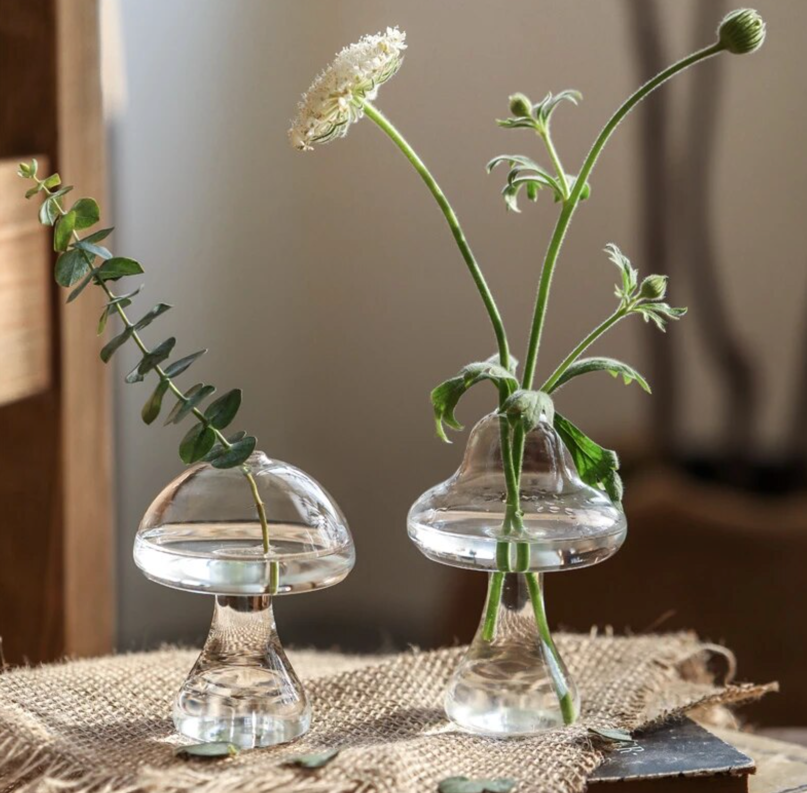 Mushroom/Vase