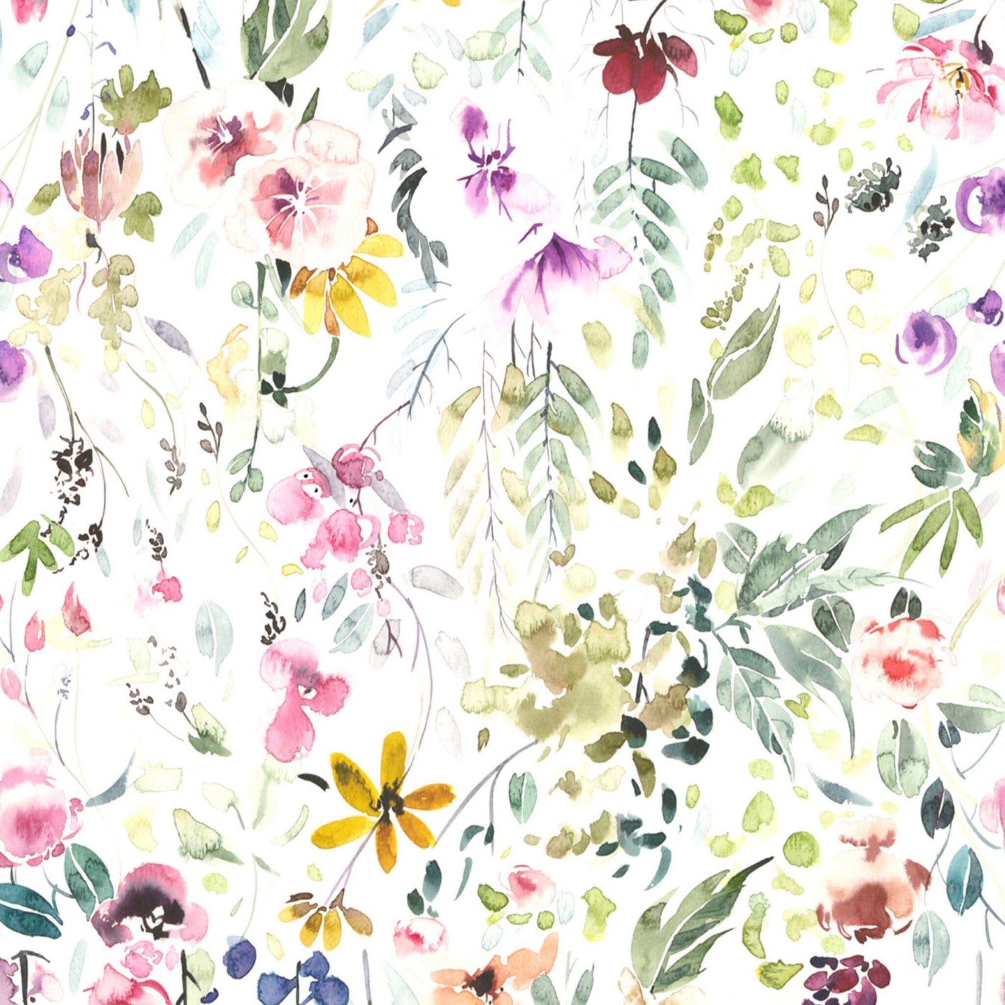Wall/Spring
