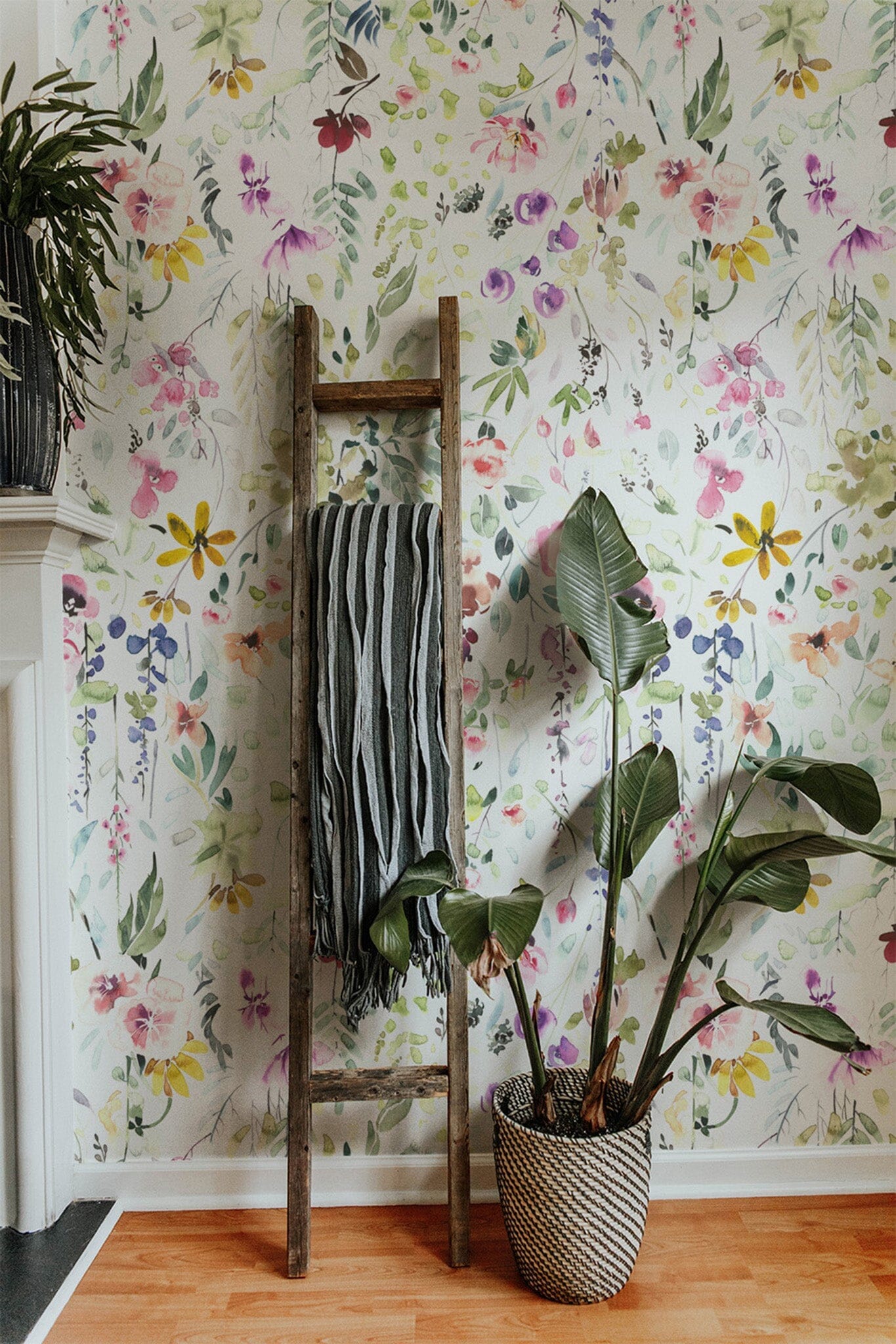 Wall/Spring