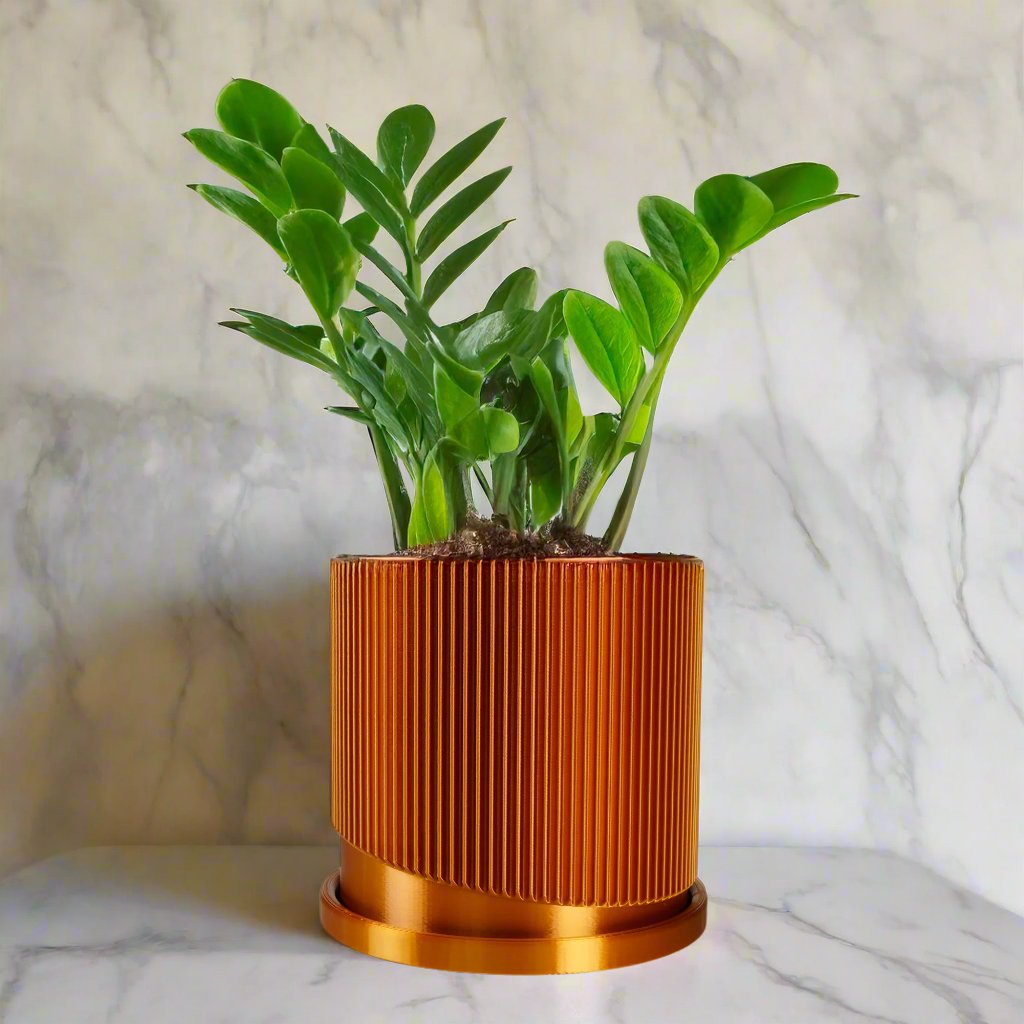 Ribbed/Planter