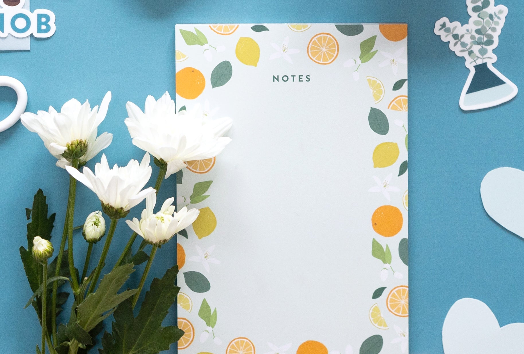 Notes/Notepad