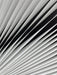 Fabric/Fusion - ARCHDEKOR® LLC