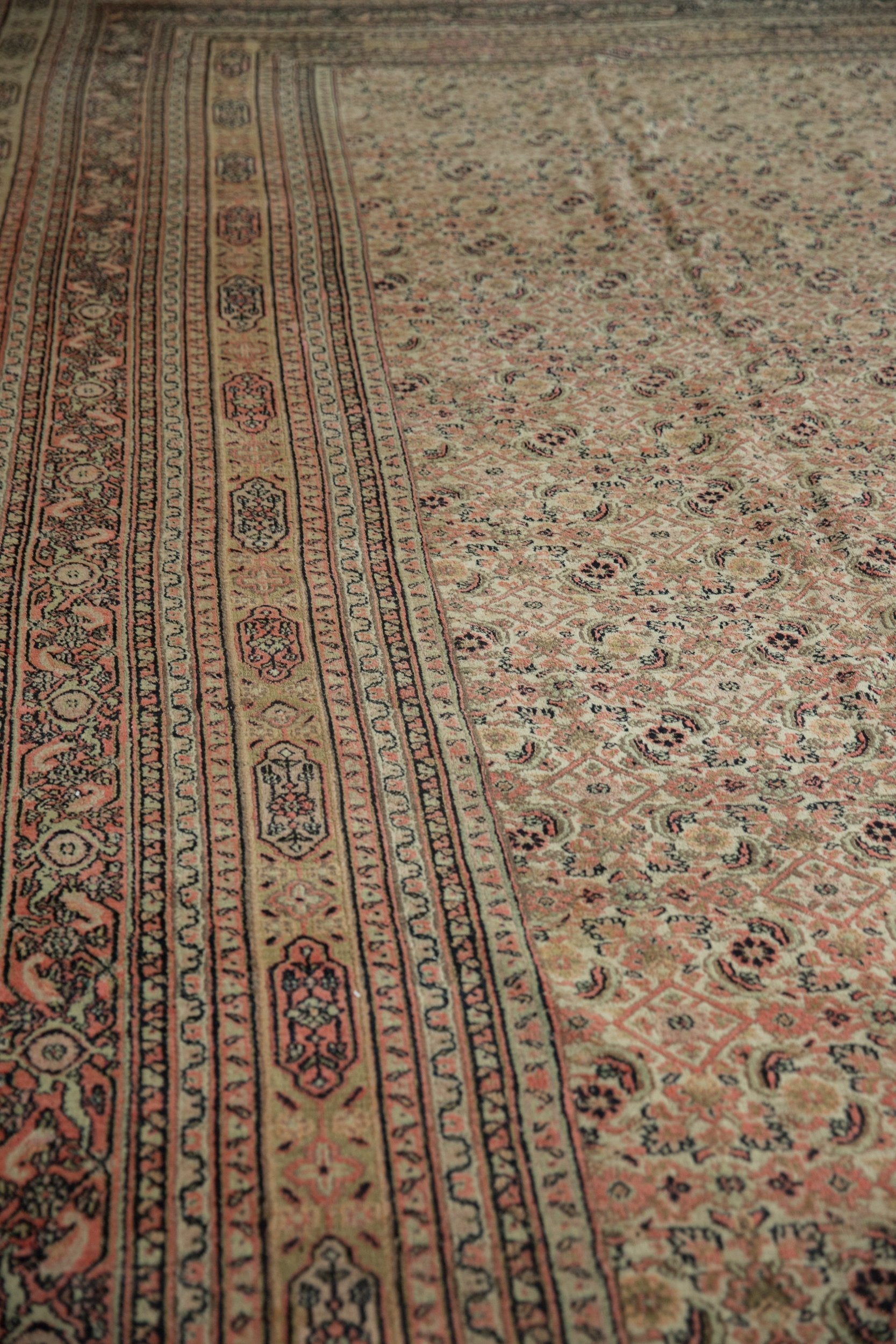 Doroksh/Rug