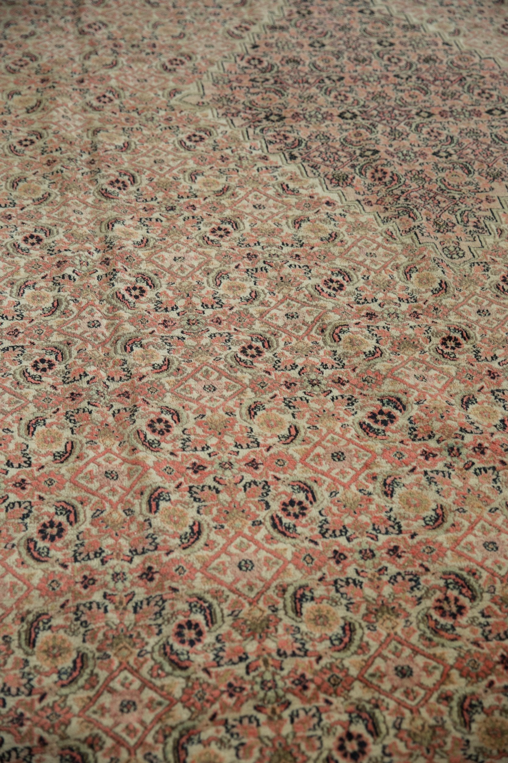 Doroksh/Rug