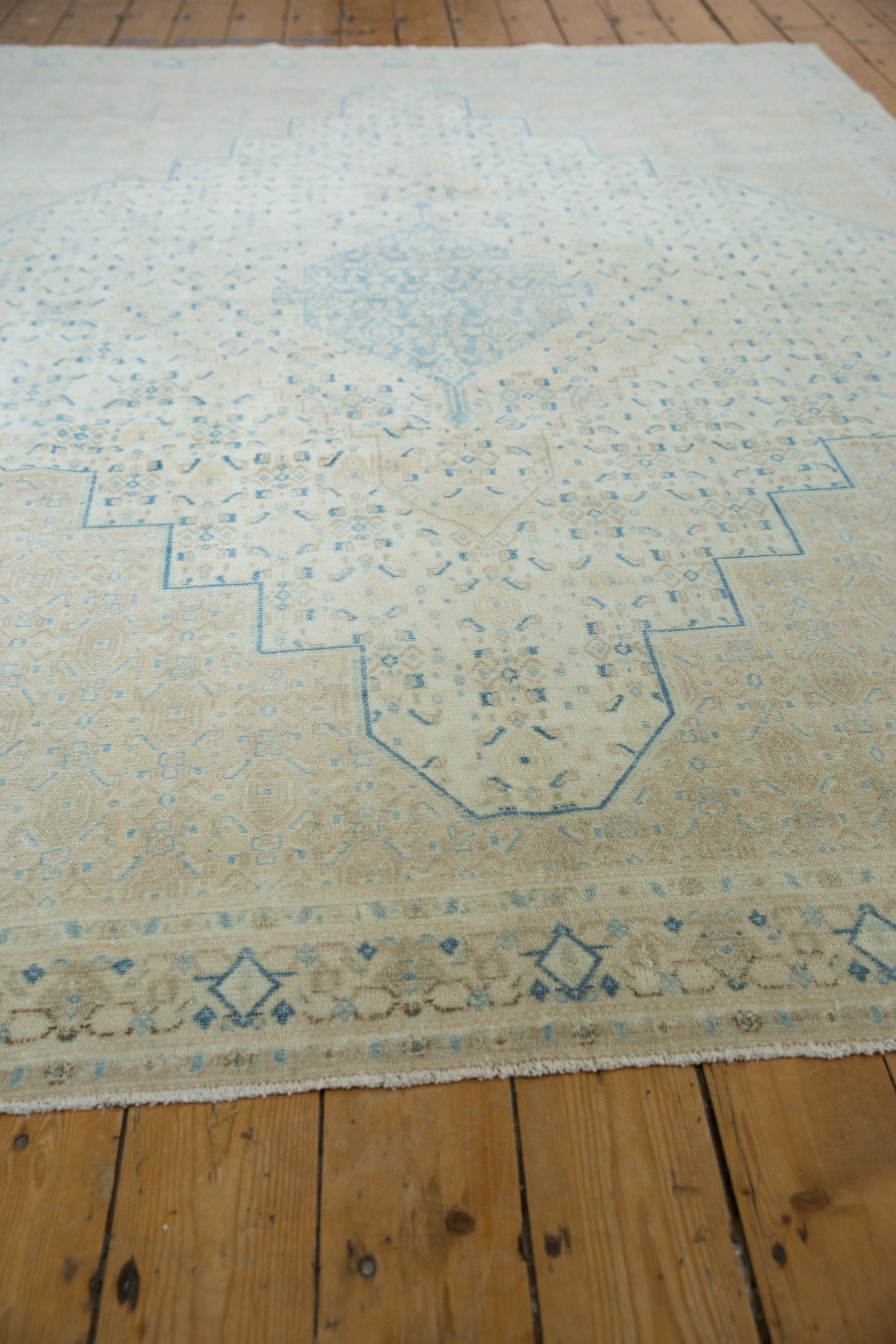 Birjand/Rug