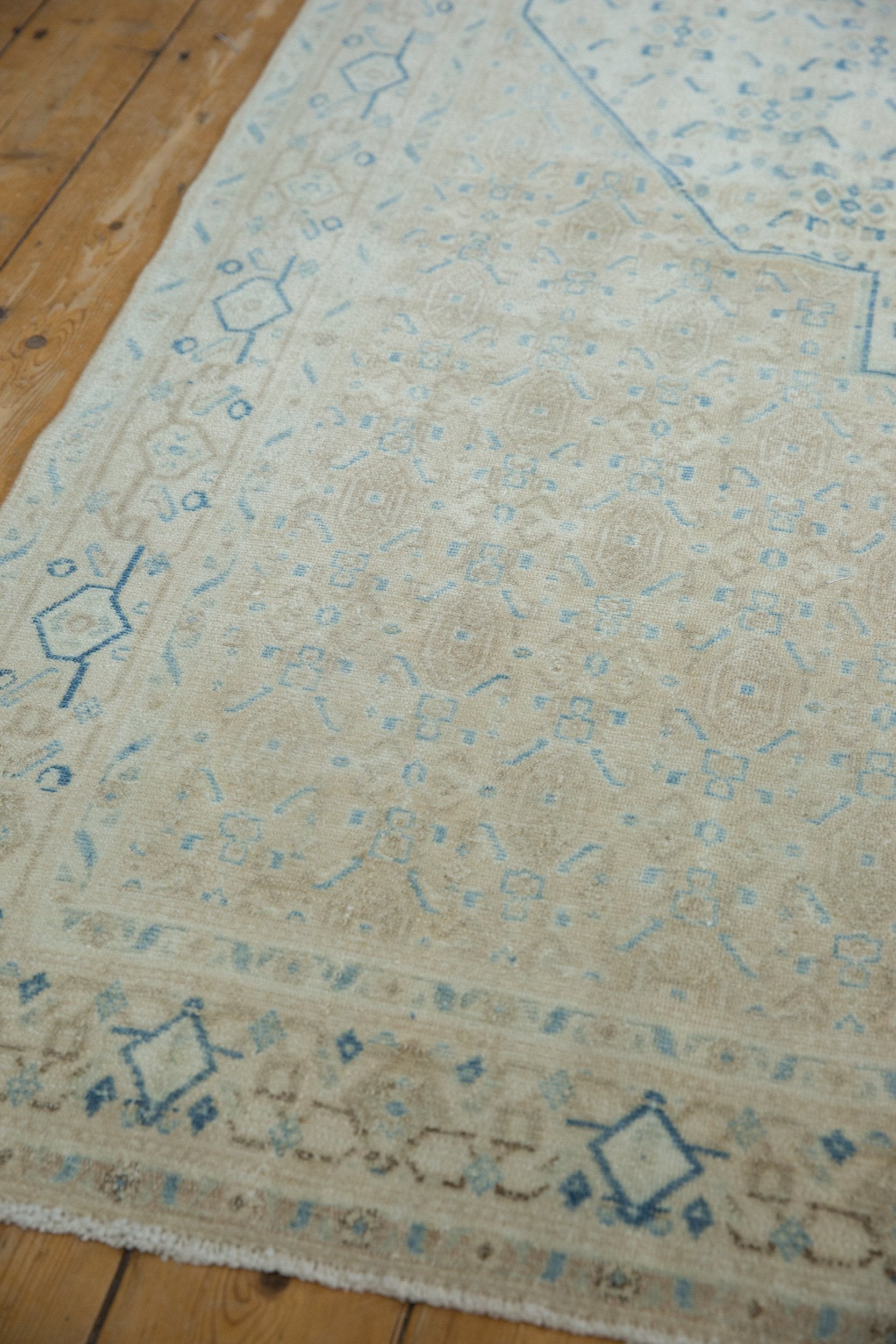 Birjand/Rug