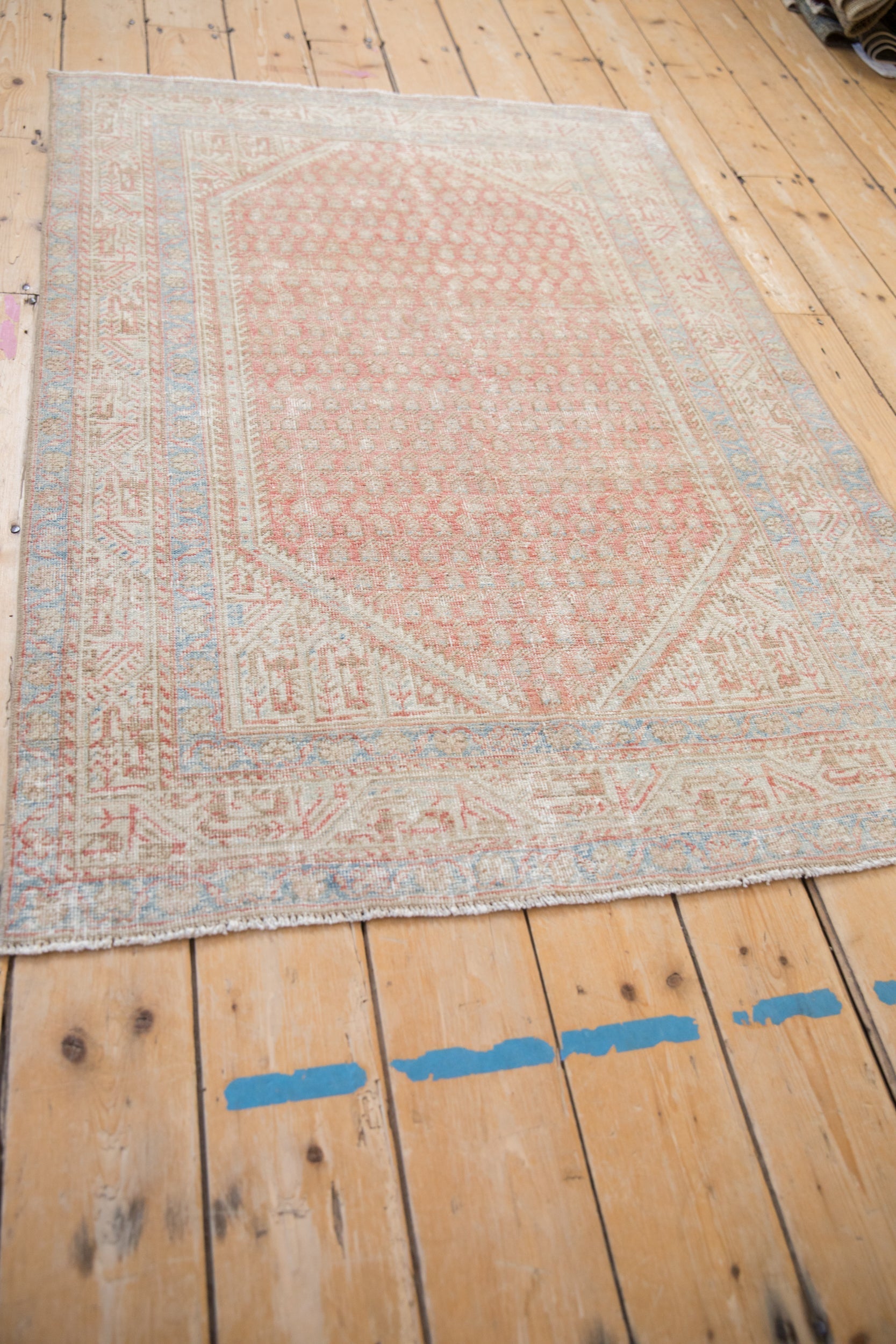 Serbend/Rug