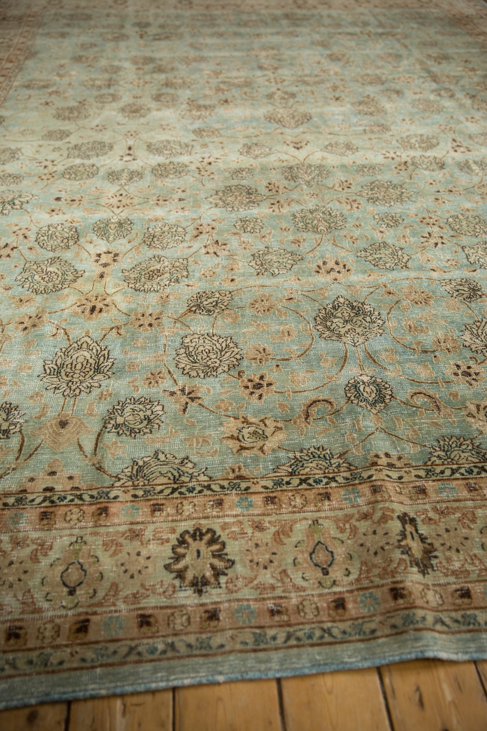 Rug/Meshed