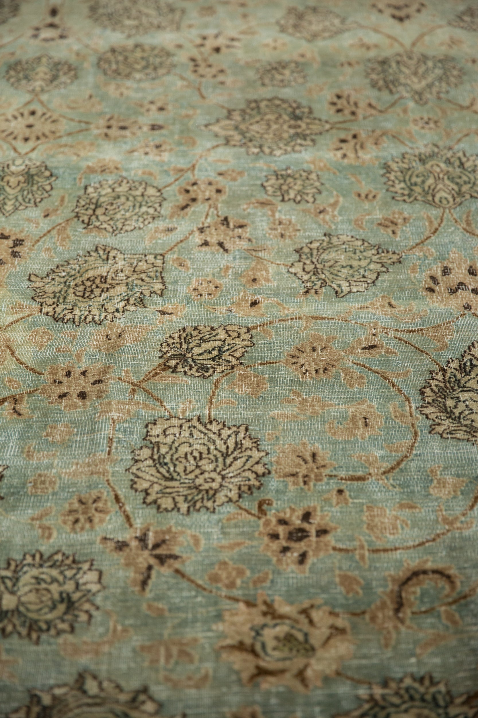 Rug/Meshed