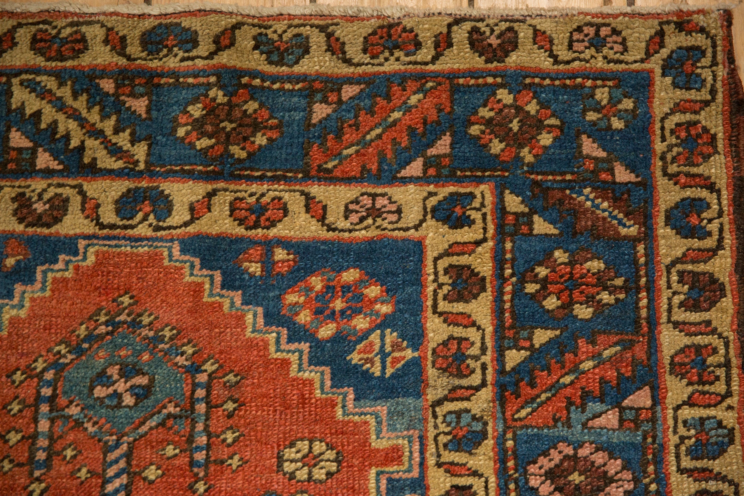 Persian/Runner