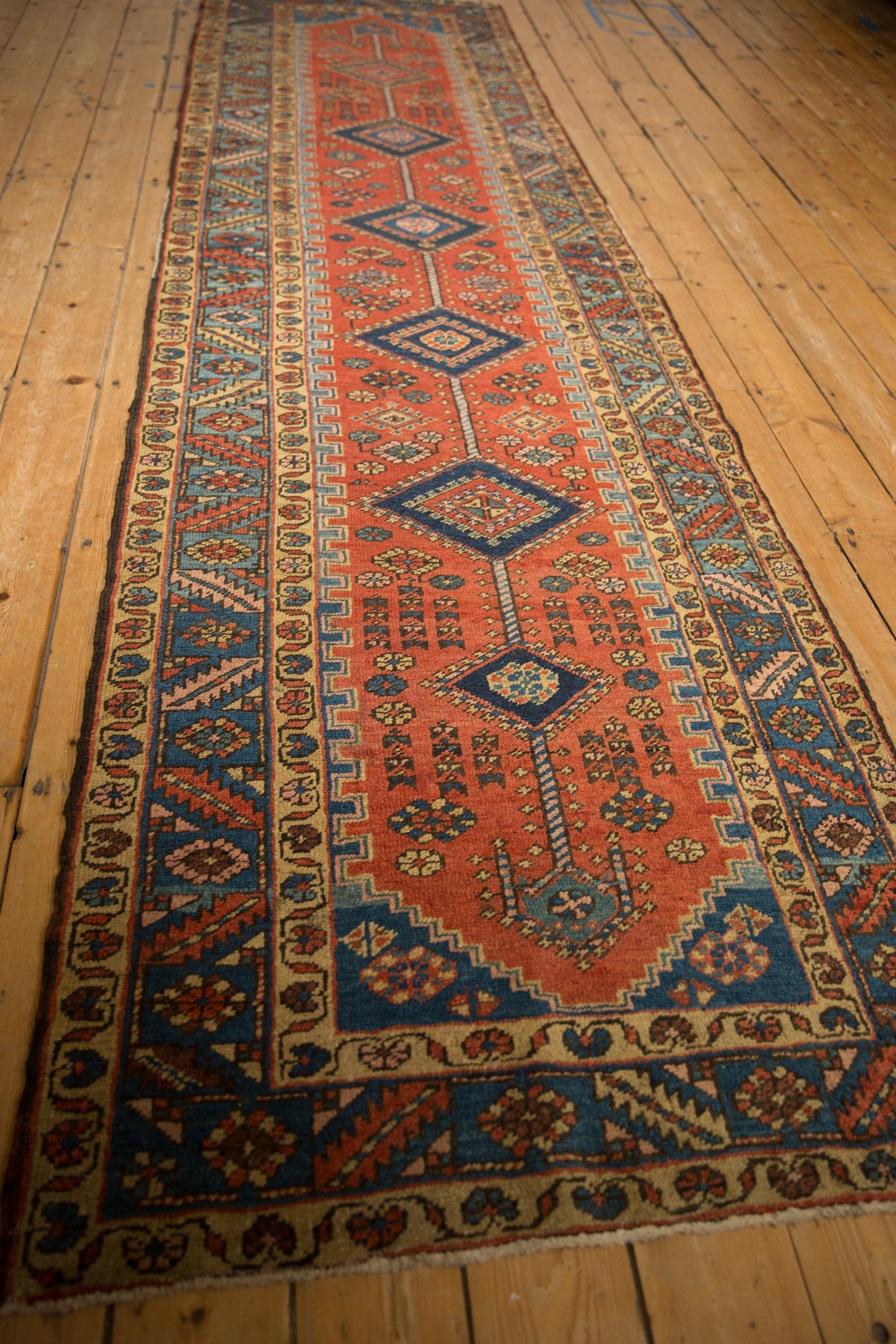 Persian/Runner