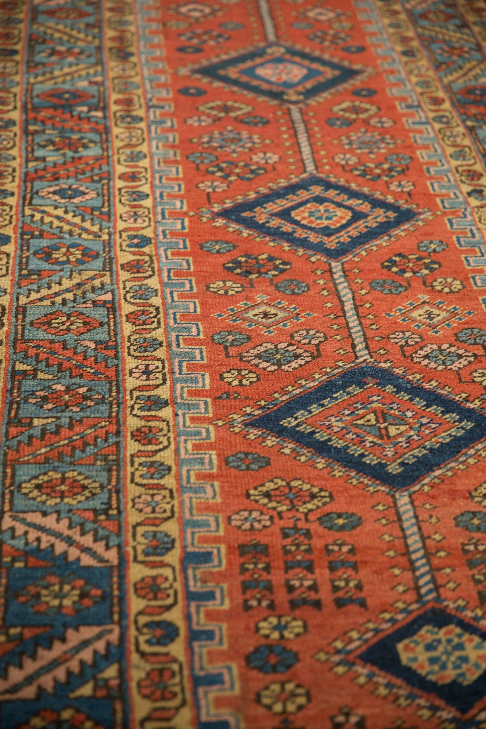 Persian/Runner