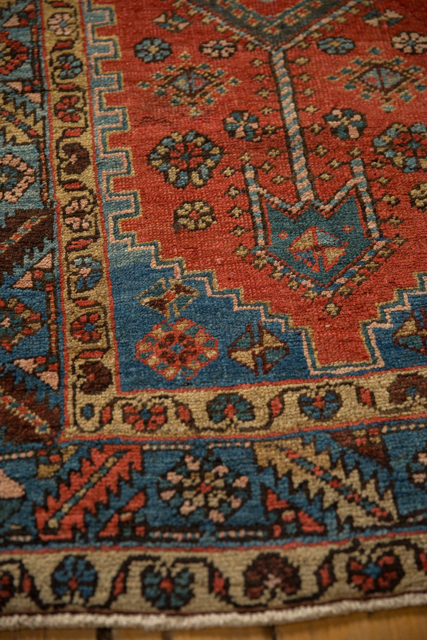 Persian/Runner