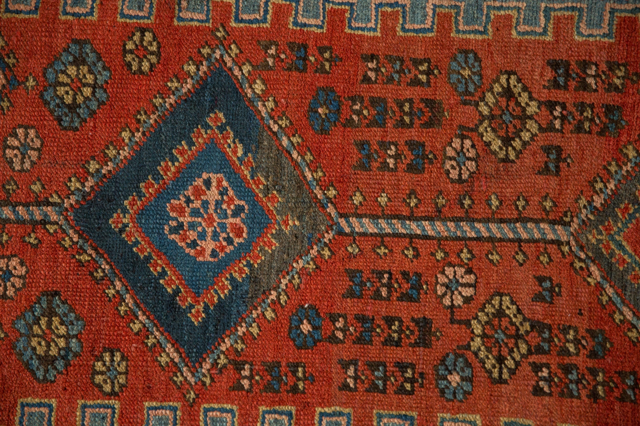 Persian/Runner