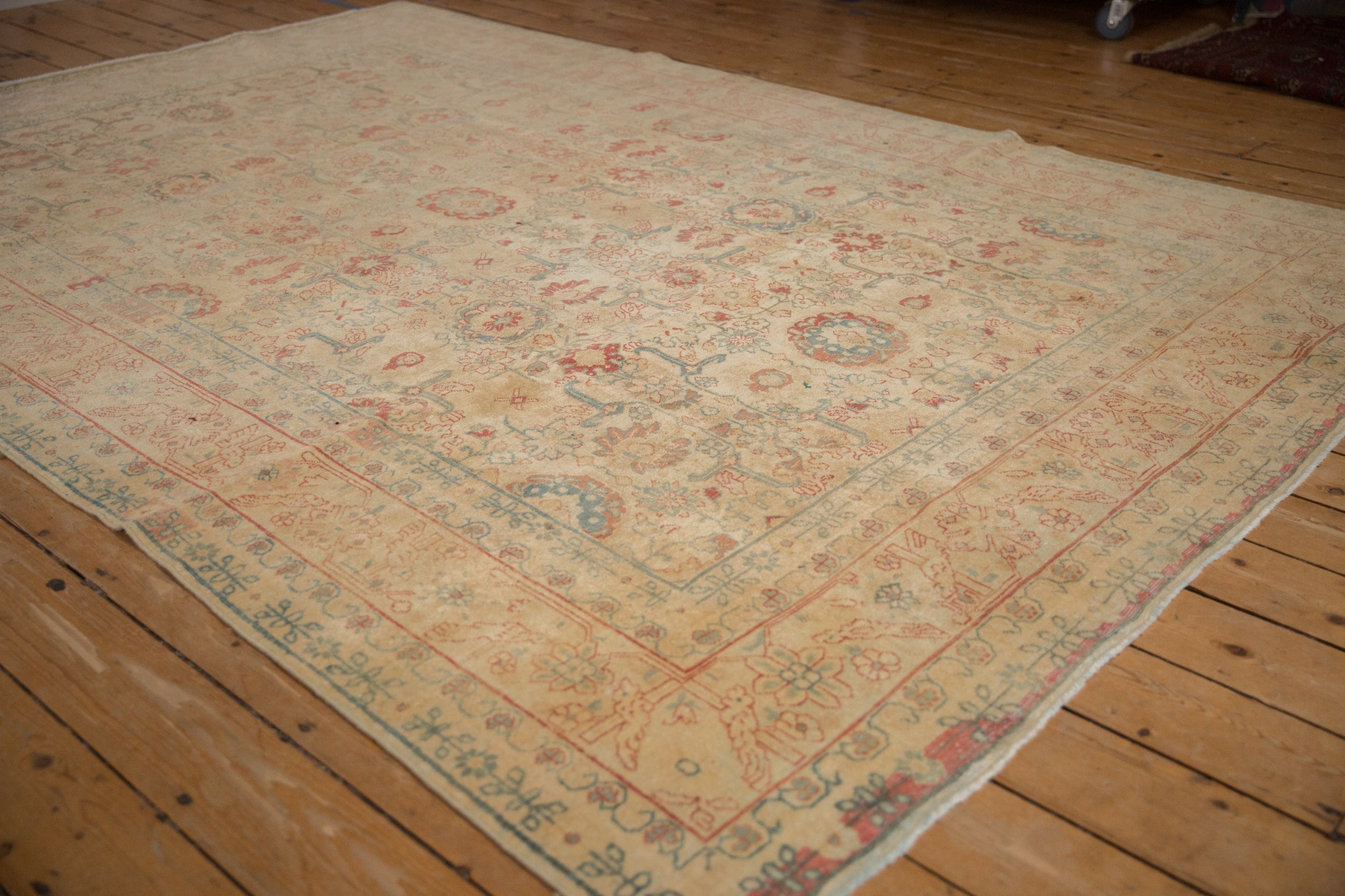 Tabriz/rug