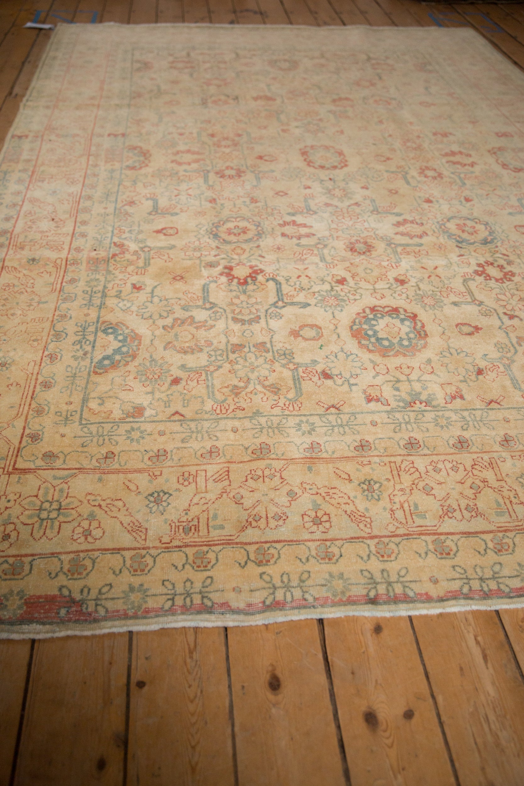 Tabriz/rug
