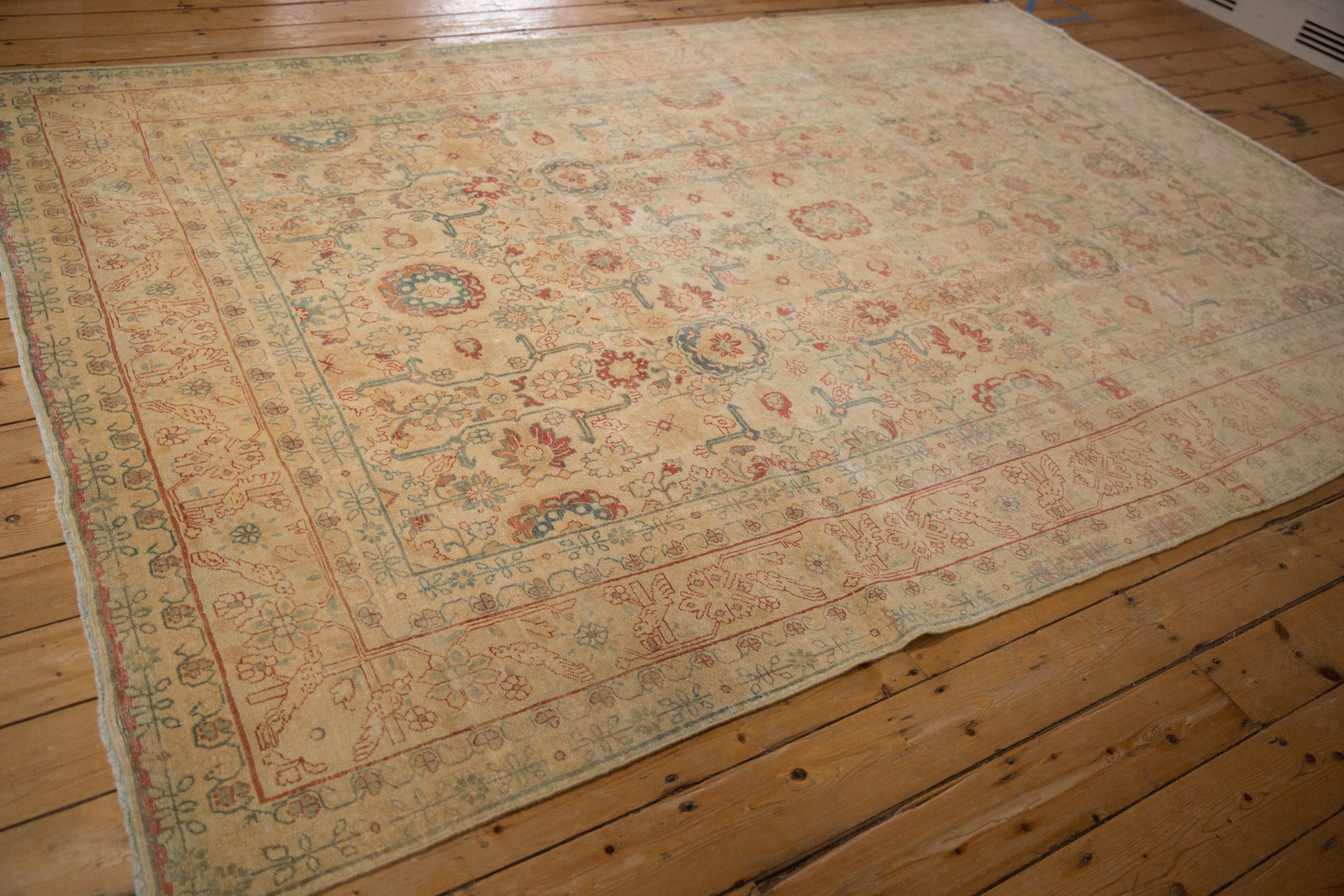 Tabriz/rug