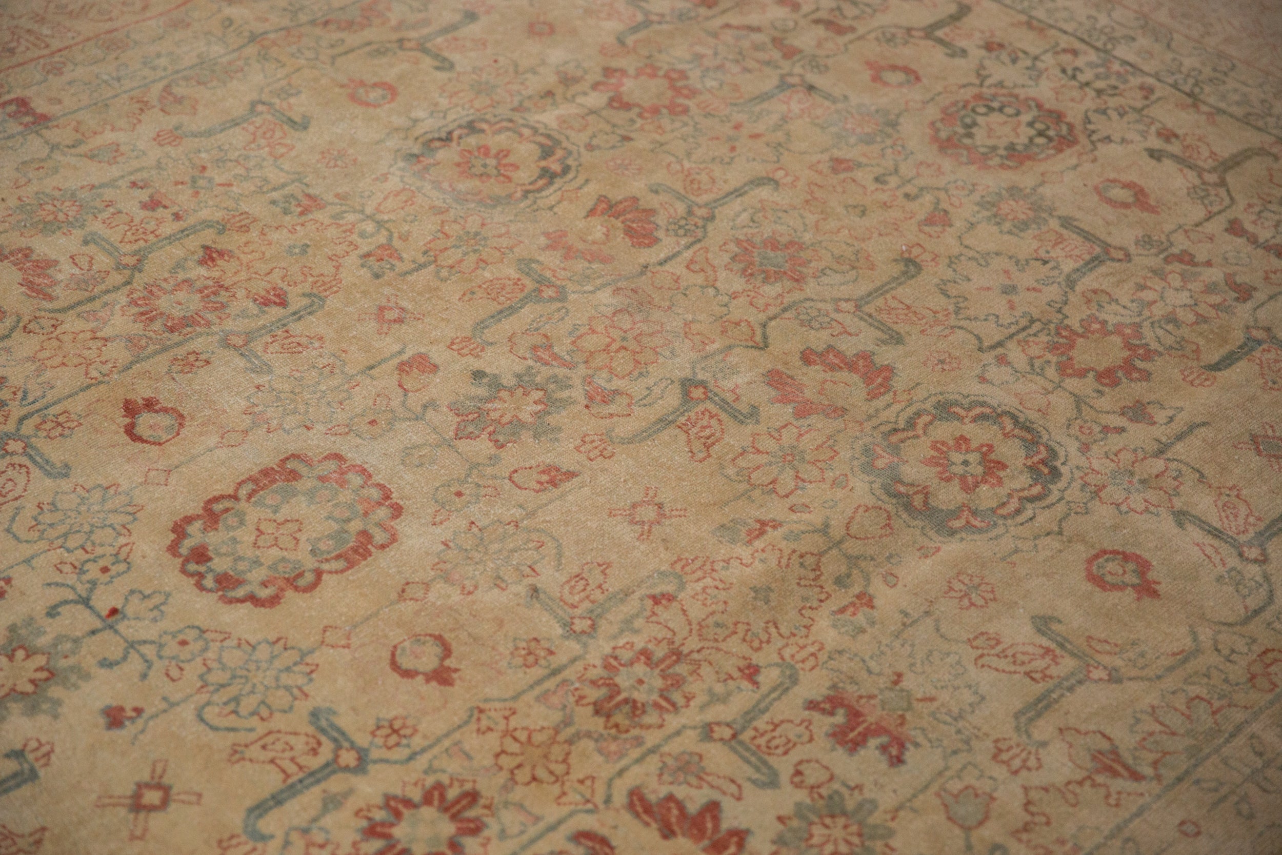 Tabriz/rug