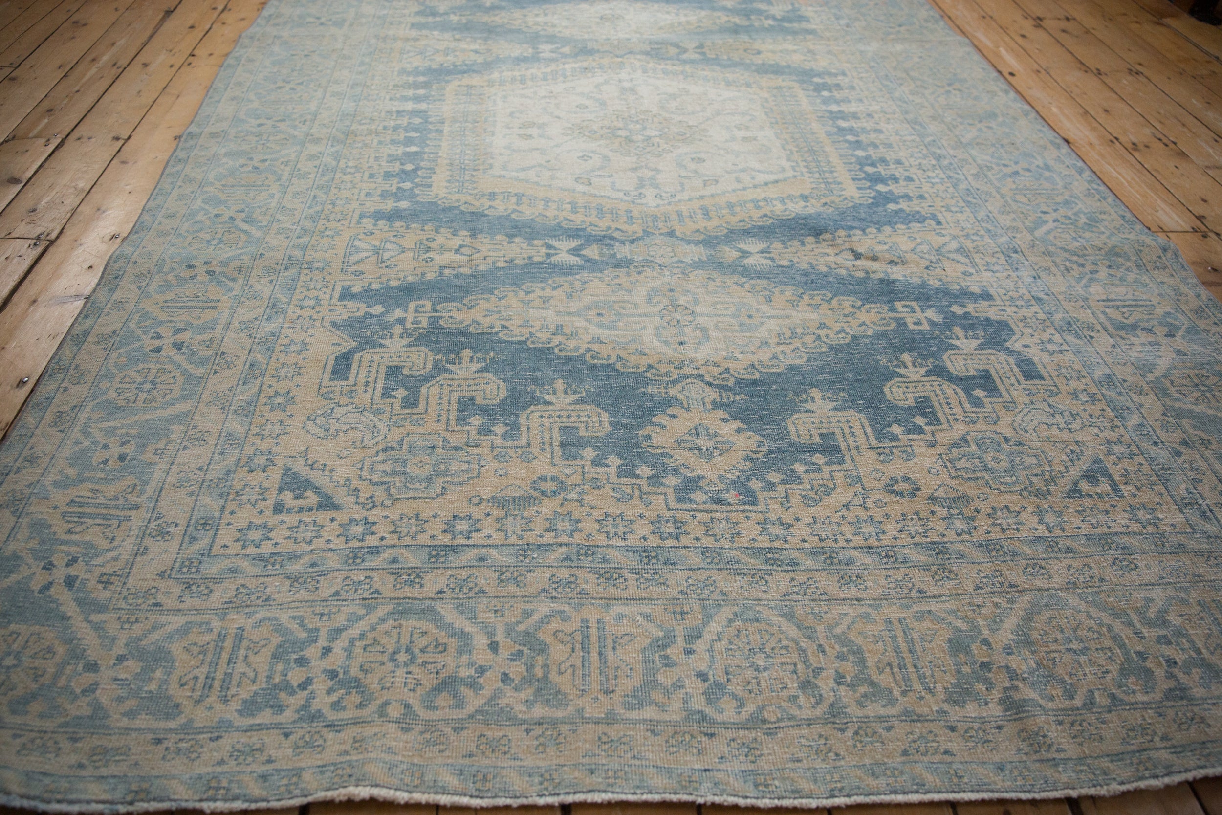Rug/Veece