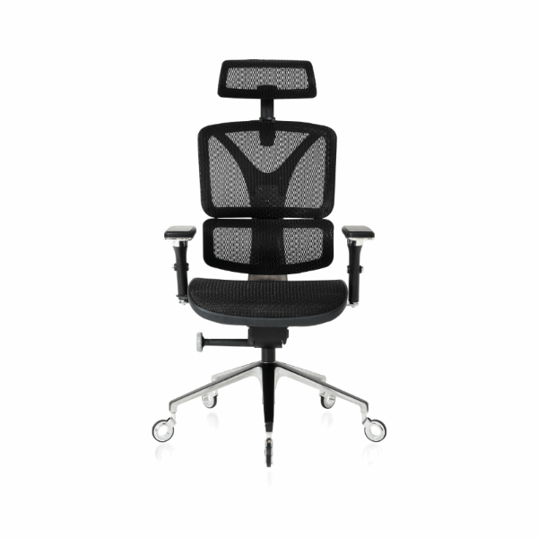 ErgoPro/Chair