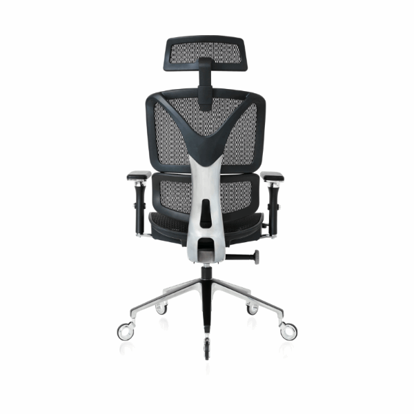 ErgoPro/Chair