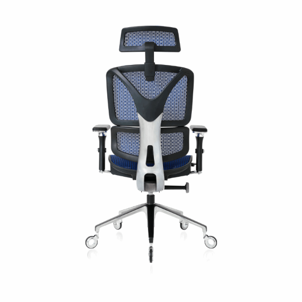 ErgoPro/Chair