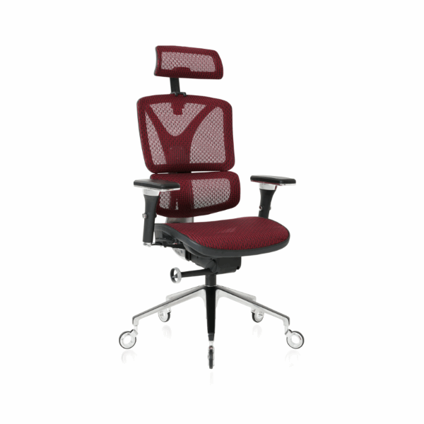 ErgoPro/Chair