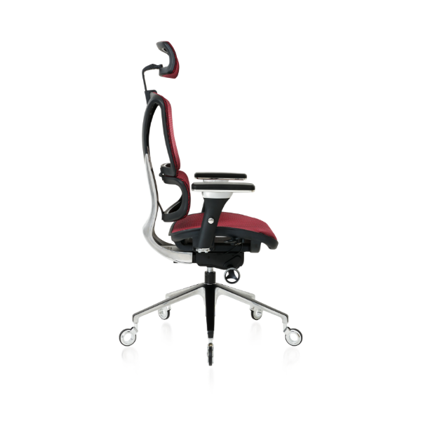 ErgoPro/Chair