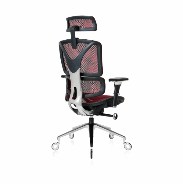 ErgoPro/Chair